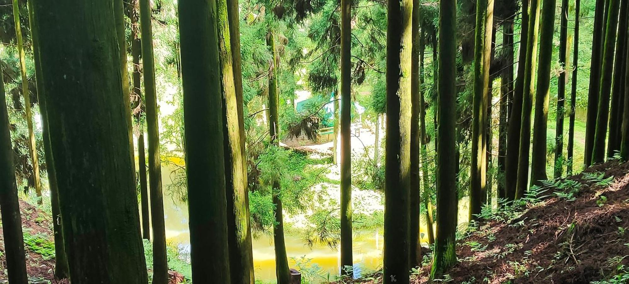 Stone And Pine Holiday home Darjeeling (West Bengal)