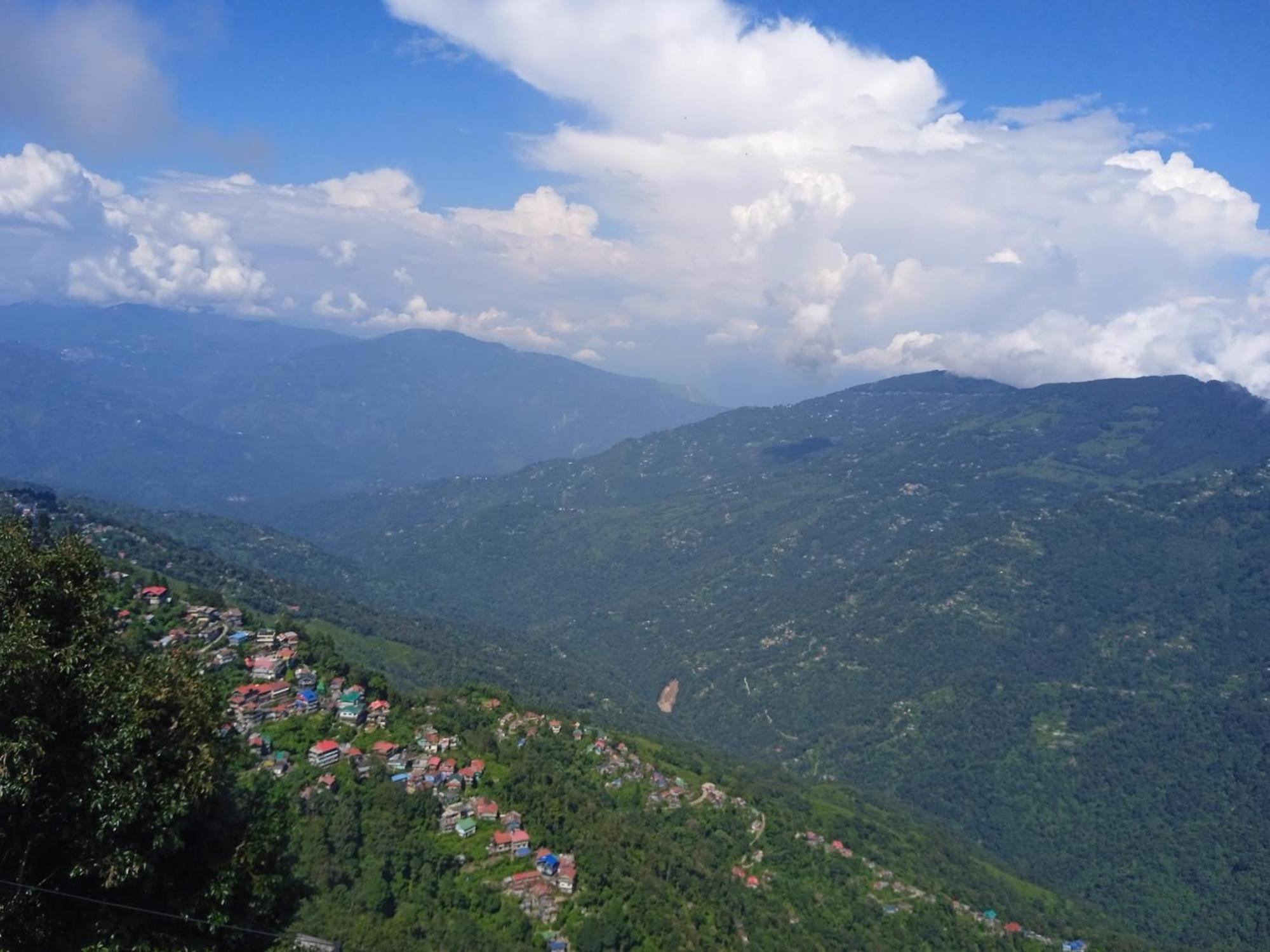 Yangzi