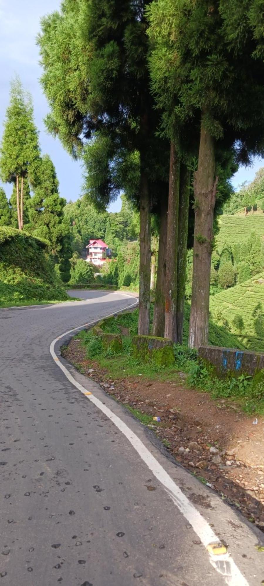 Lotus Homestay Darjeeling (West Bengal)
