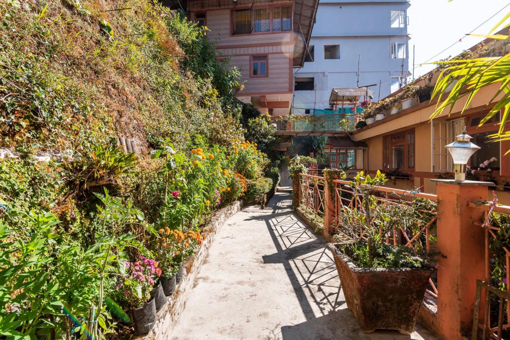 Little Singamari Bed & Breakfast Darjeeling (West Bengal)
