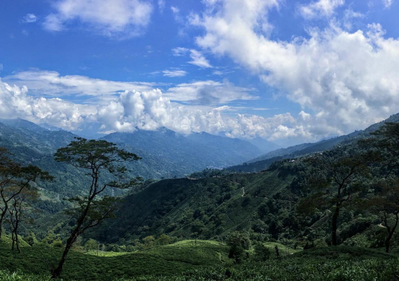 Surya - Rural Tea Garden *