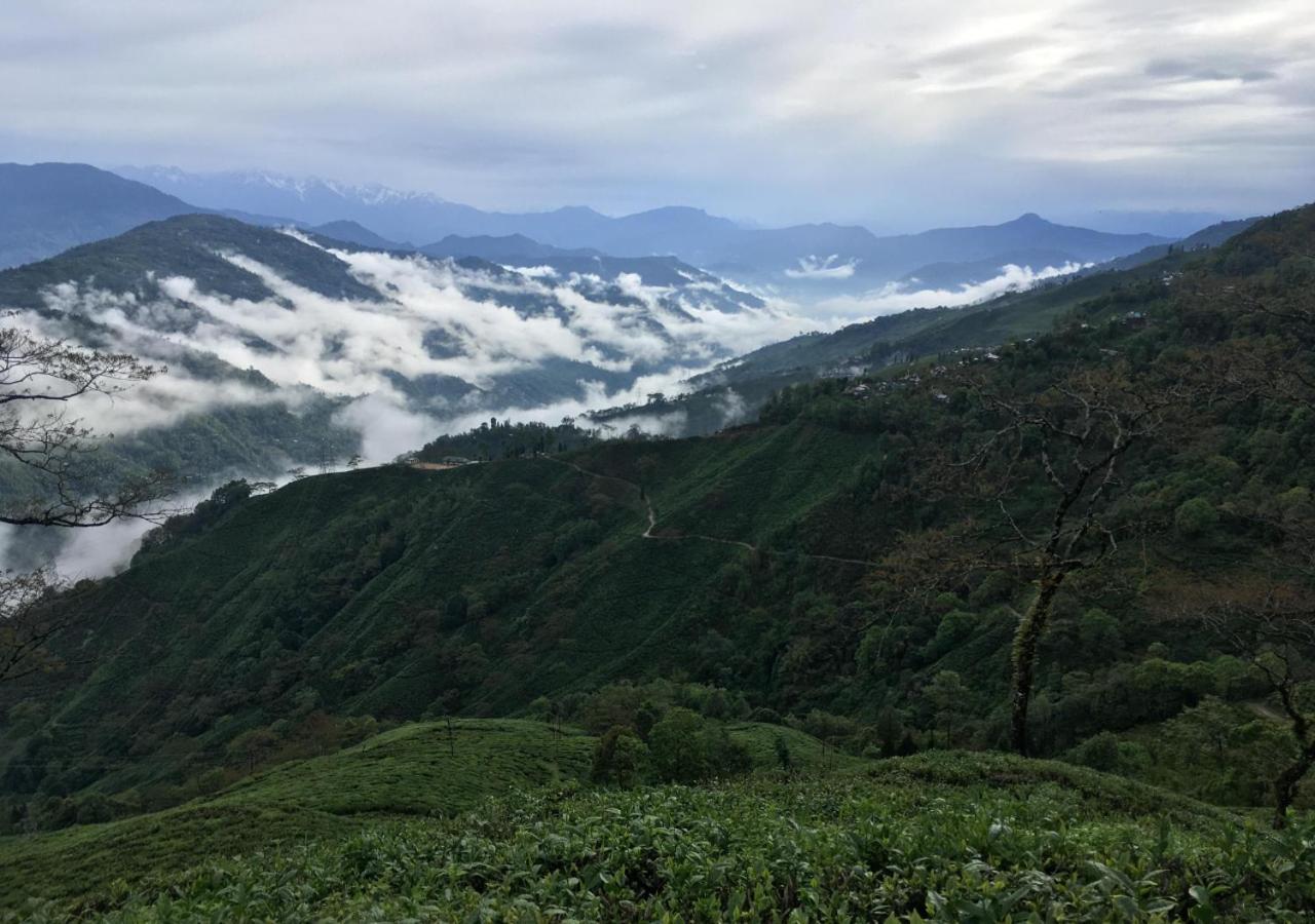 Homestay Surya - Rural Tea Garden
