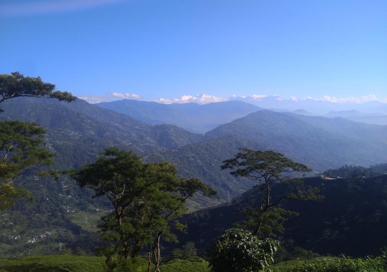 Homestay Surya - Rural Tea Garden *