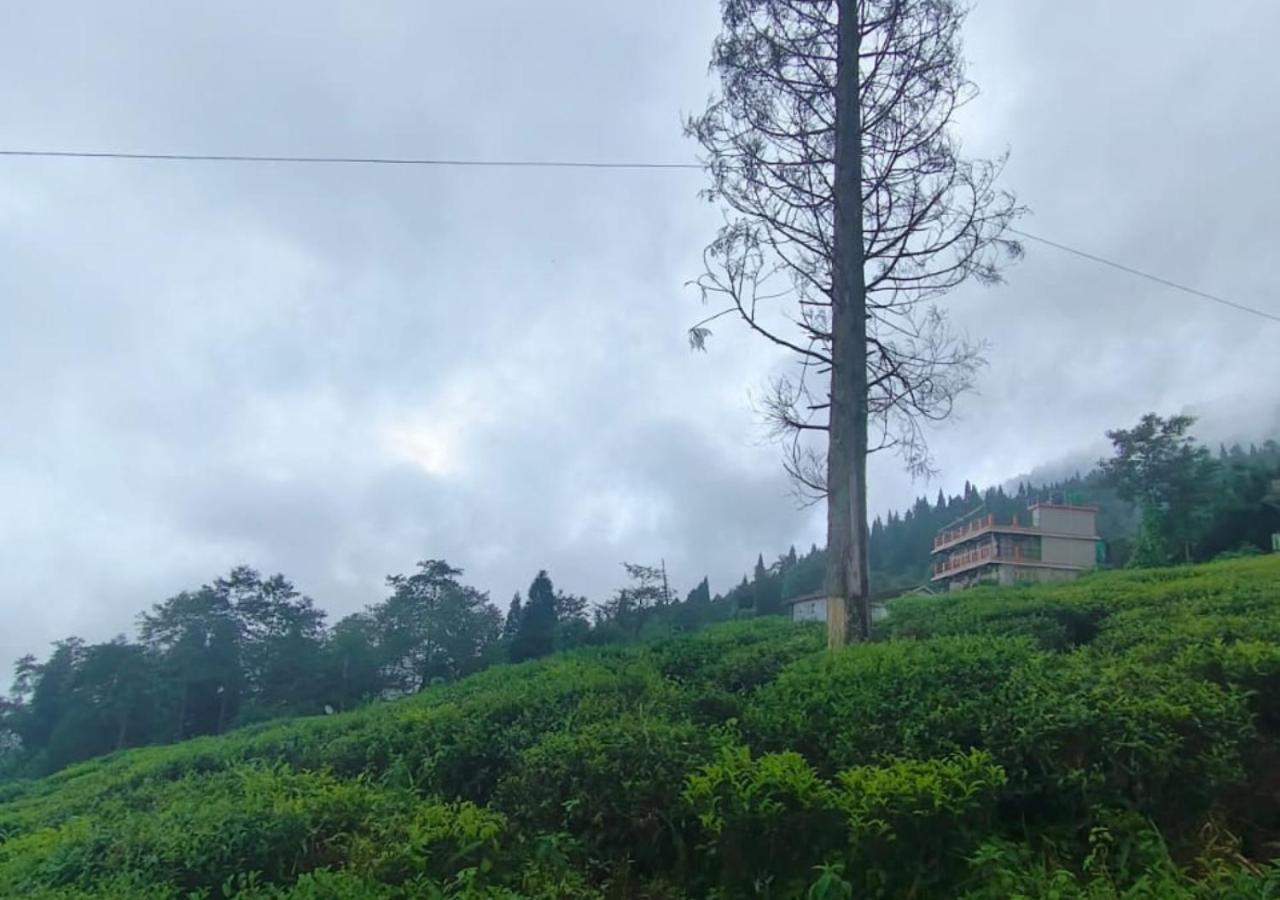 Surya - Rural Tea Garden Homestay