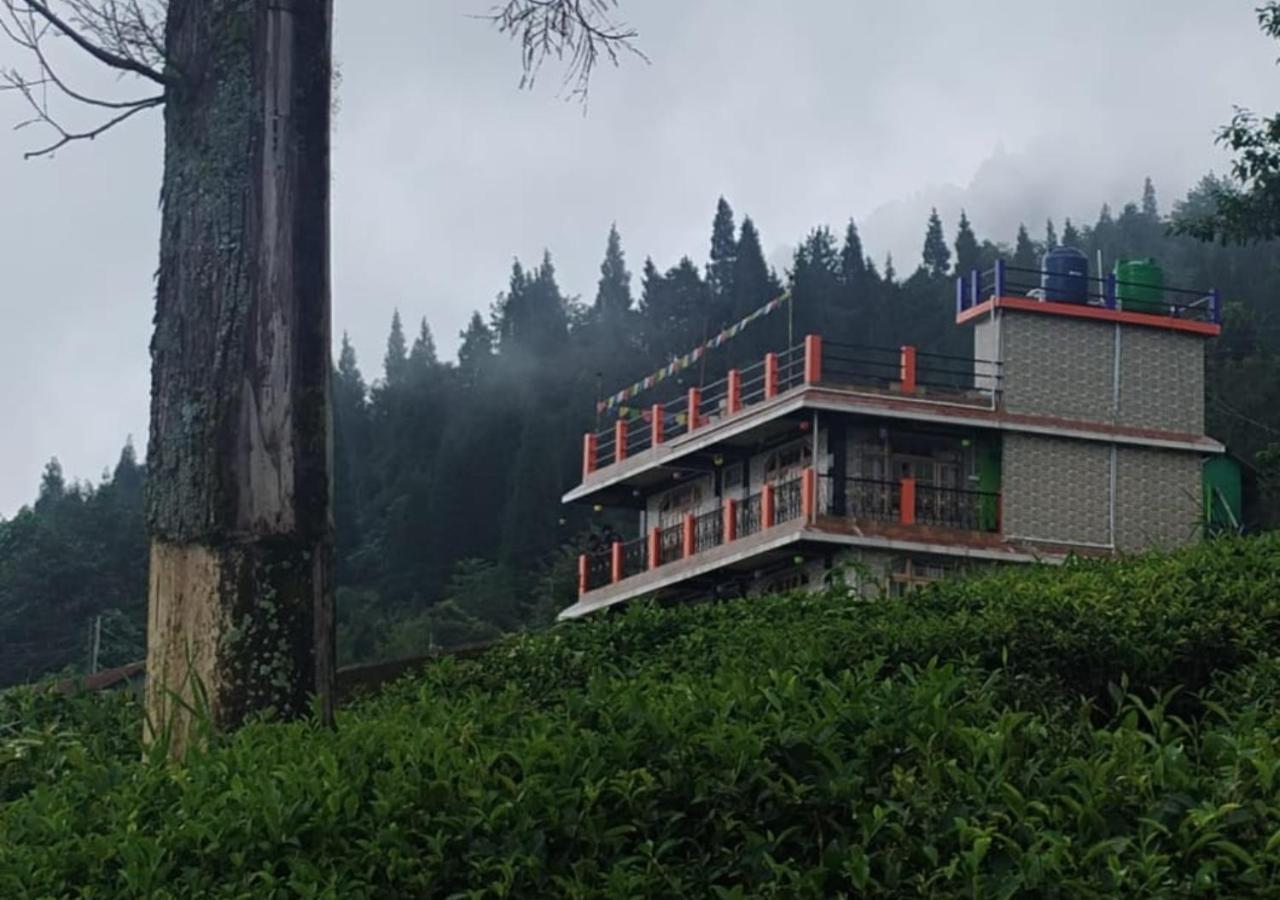 Homestay Surya - Rural Tea Garden Darjeeling (West Bengal)