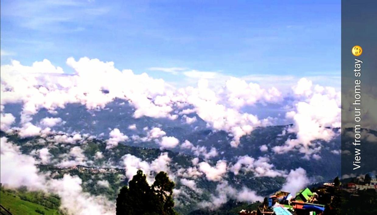 Homestay Alpine Zen