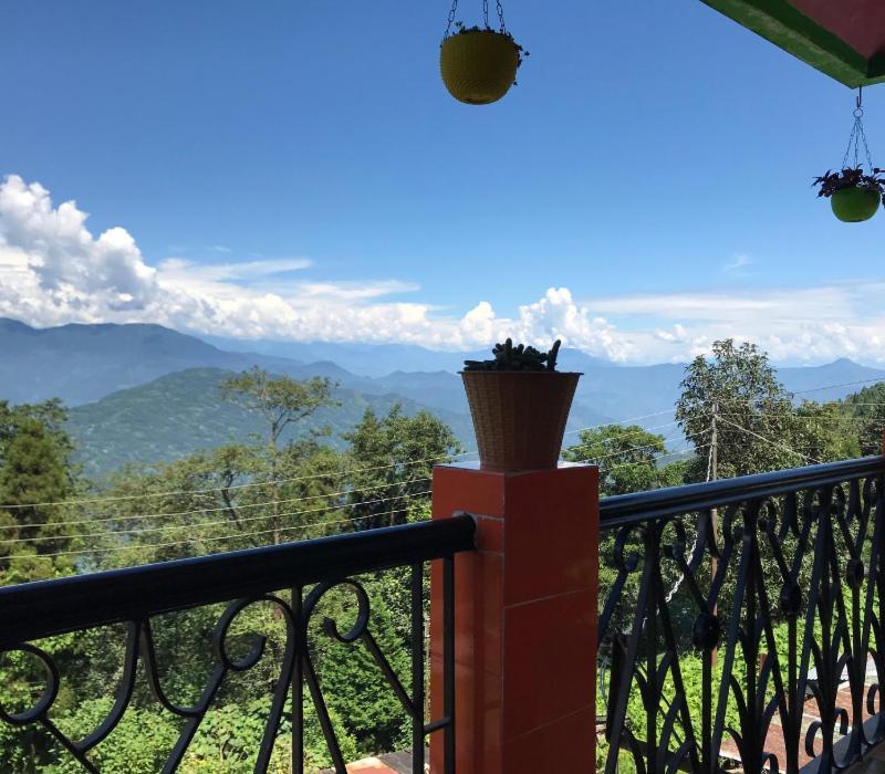 Surya - Rural Tea Garden * Darjeeling (West Bengal)