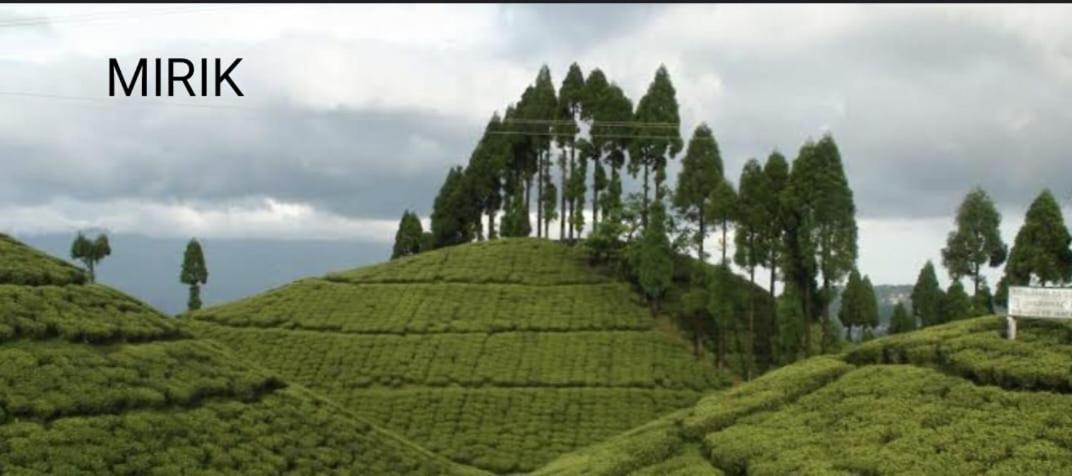 Homestay Aps Darjeeling (West Bengal)
