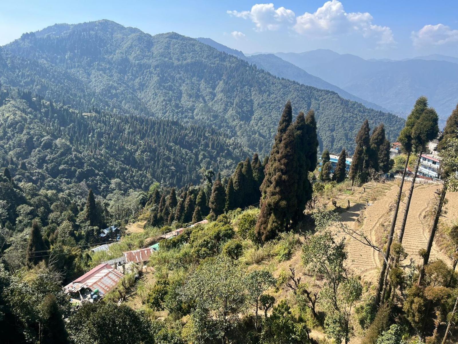 The Breeze * Darjeeling (West Bengal)