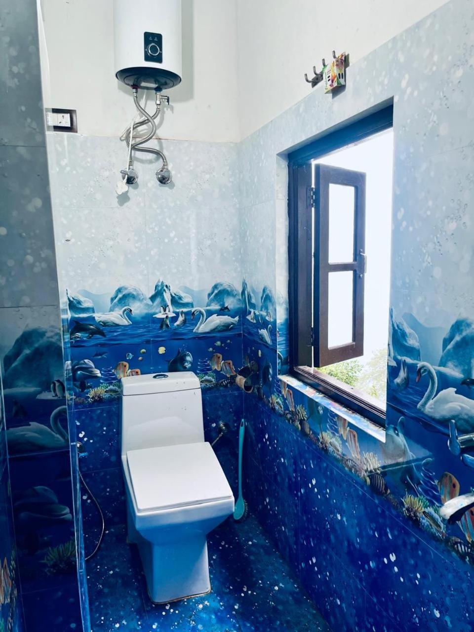 Forest - 80 Mts From Mall Road Homestay