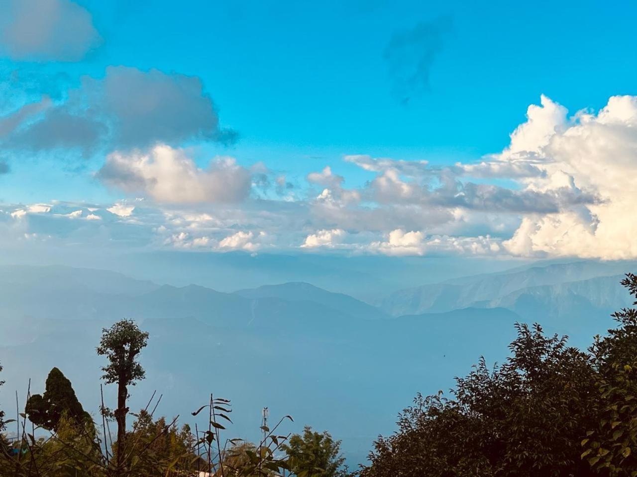 Forest - 80 Mts From Mall Road