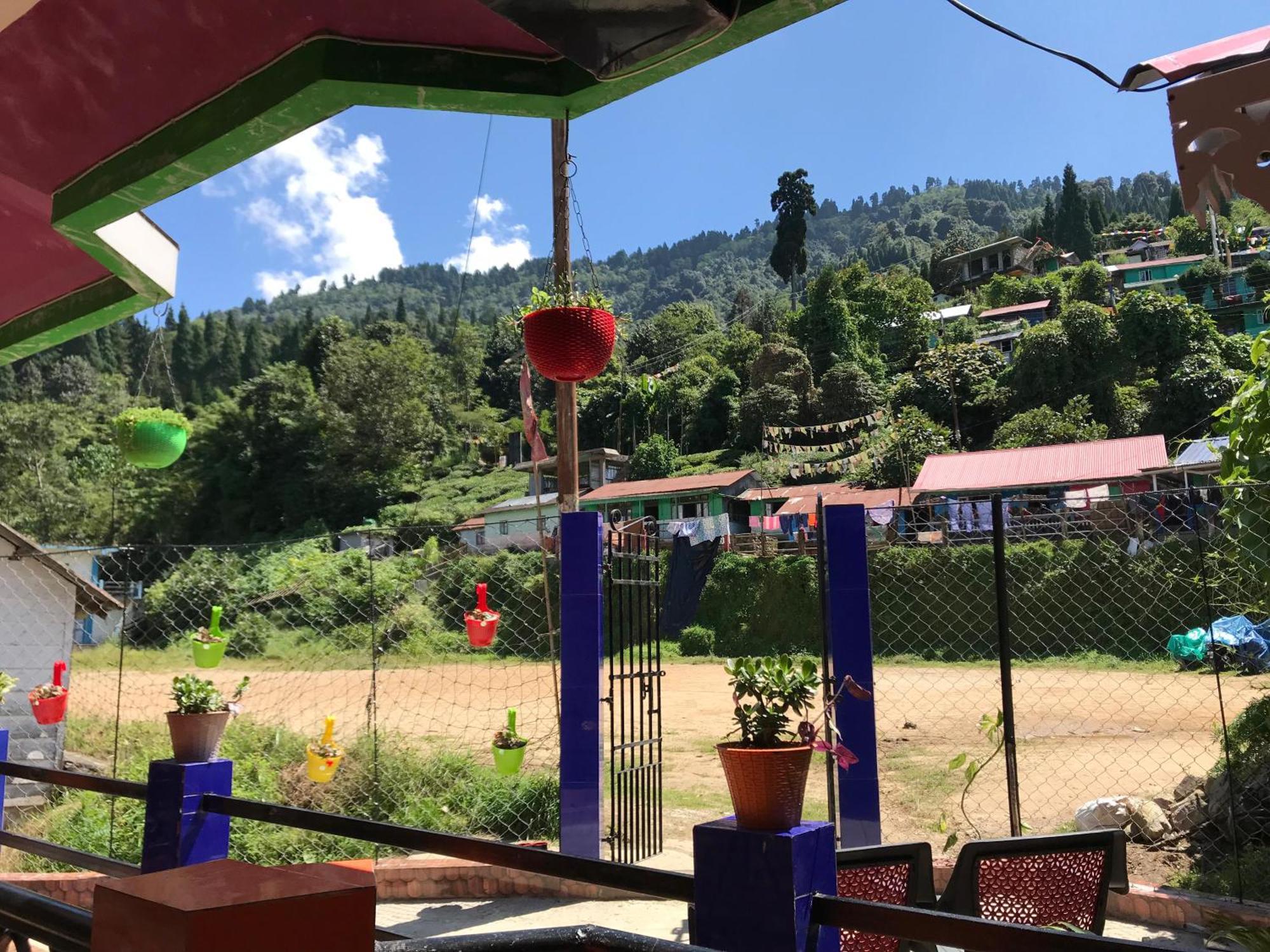 Surya - Rural Tea Garden * Darjeeling (West Bengal)