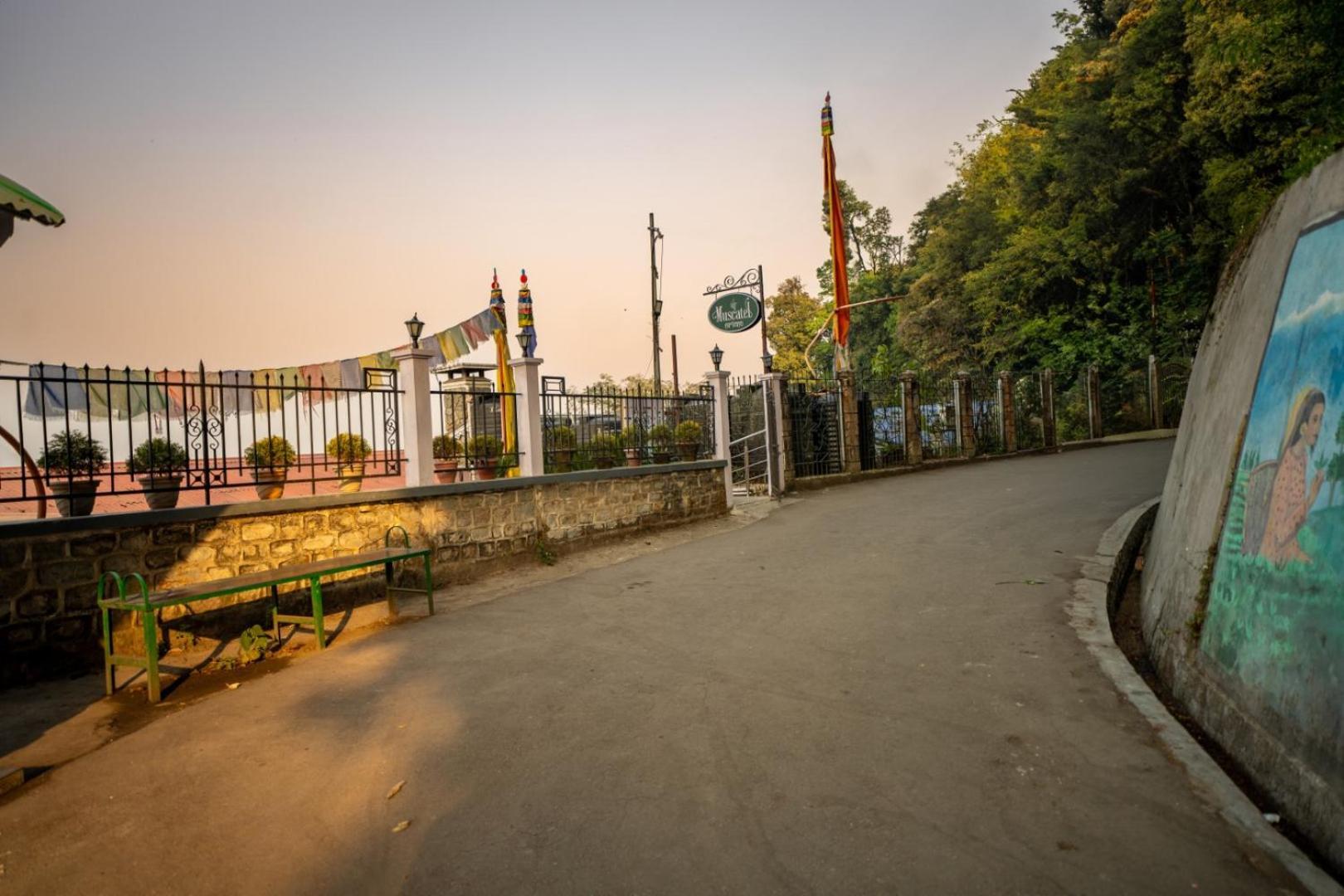Muscatel Nirvana - At The Mall Road Darjeeling (West Bengal)