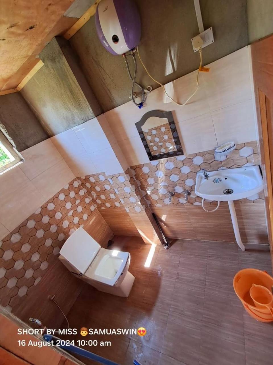 Homestay Pine *