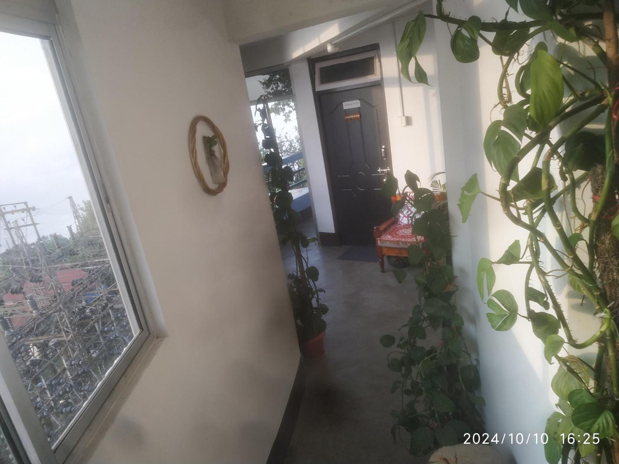 Apartment Dawn *