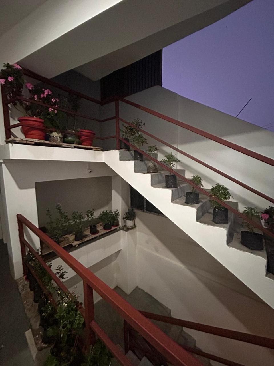 Homestay Geranium *