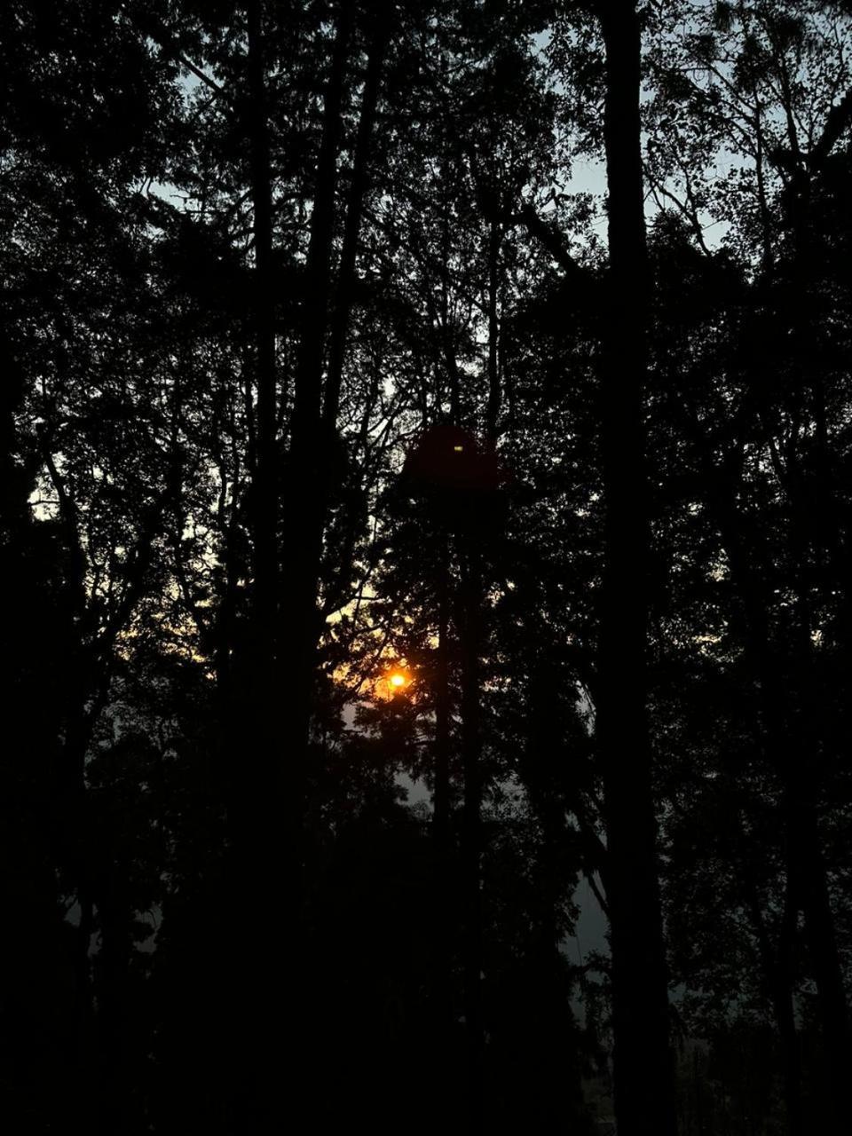 Trio Paradise Homestay Darjeeling (West Bengal)
