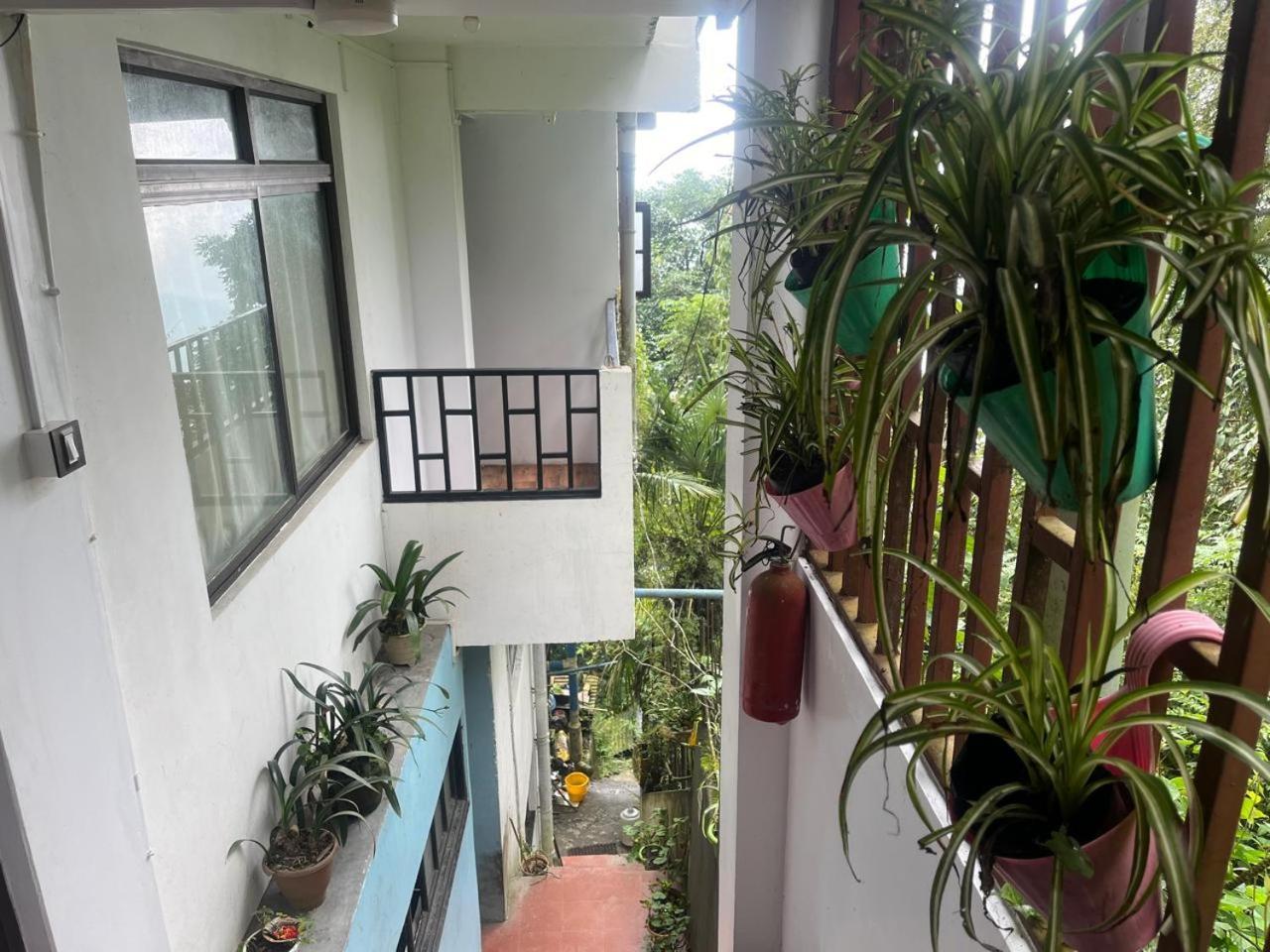 Forest - 80 Mts From Mall Road Homestay *