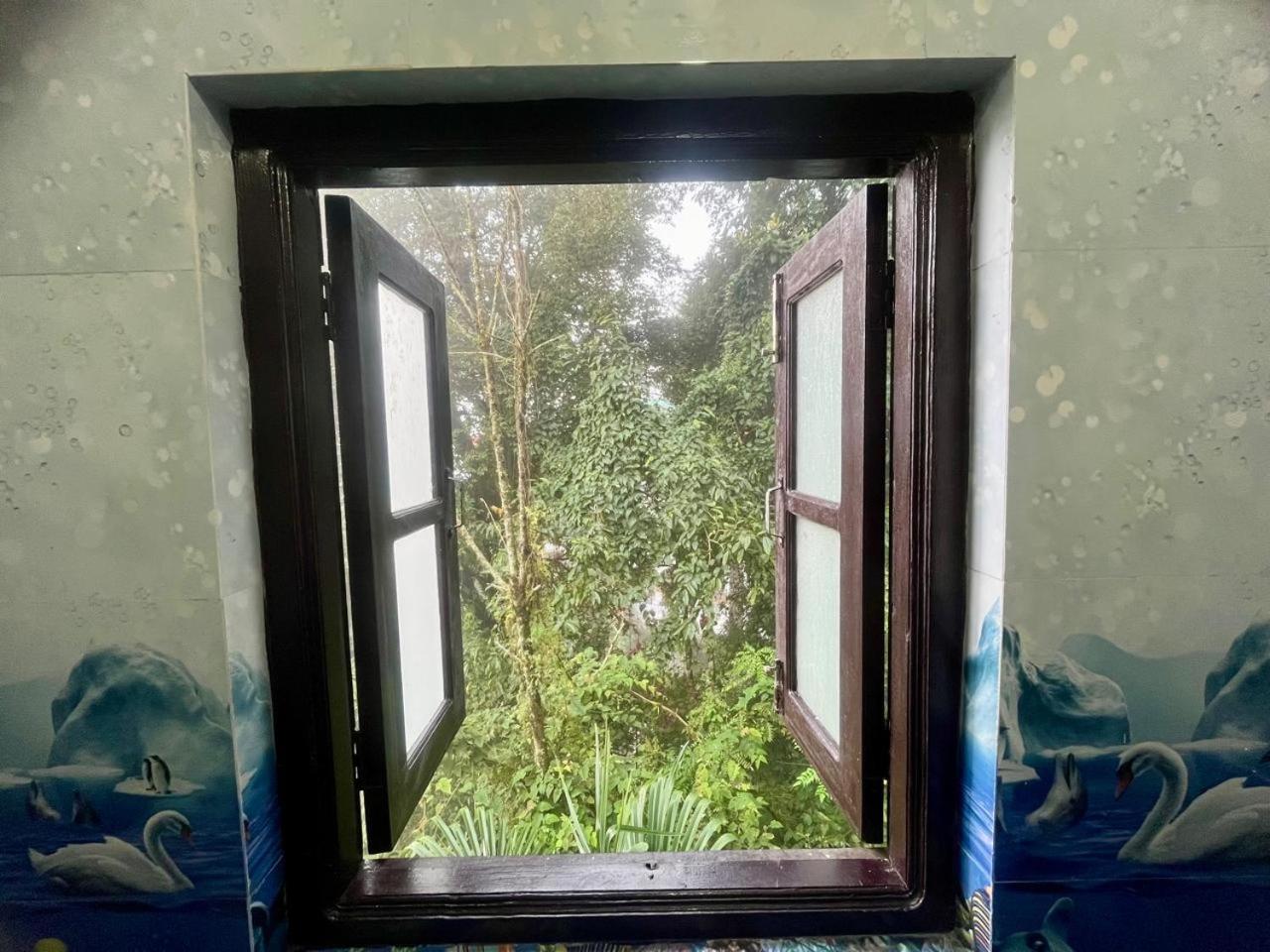 Forest - 80 Mts From Mall Road Homestay *