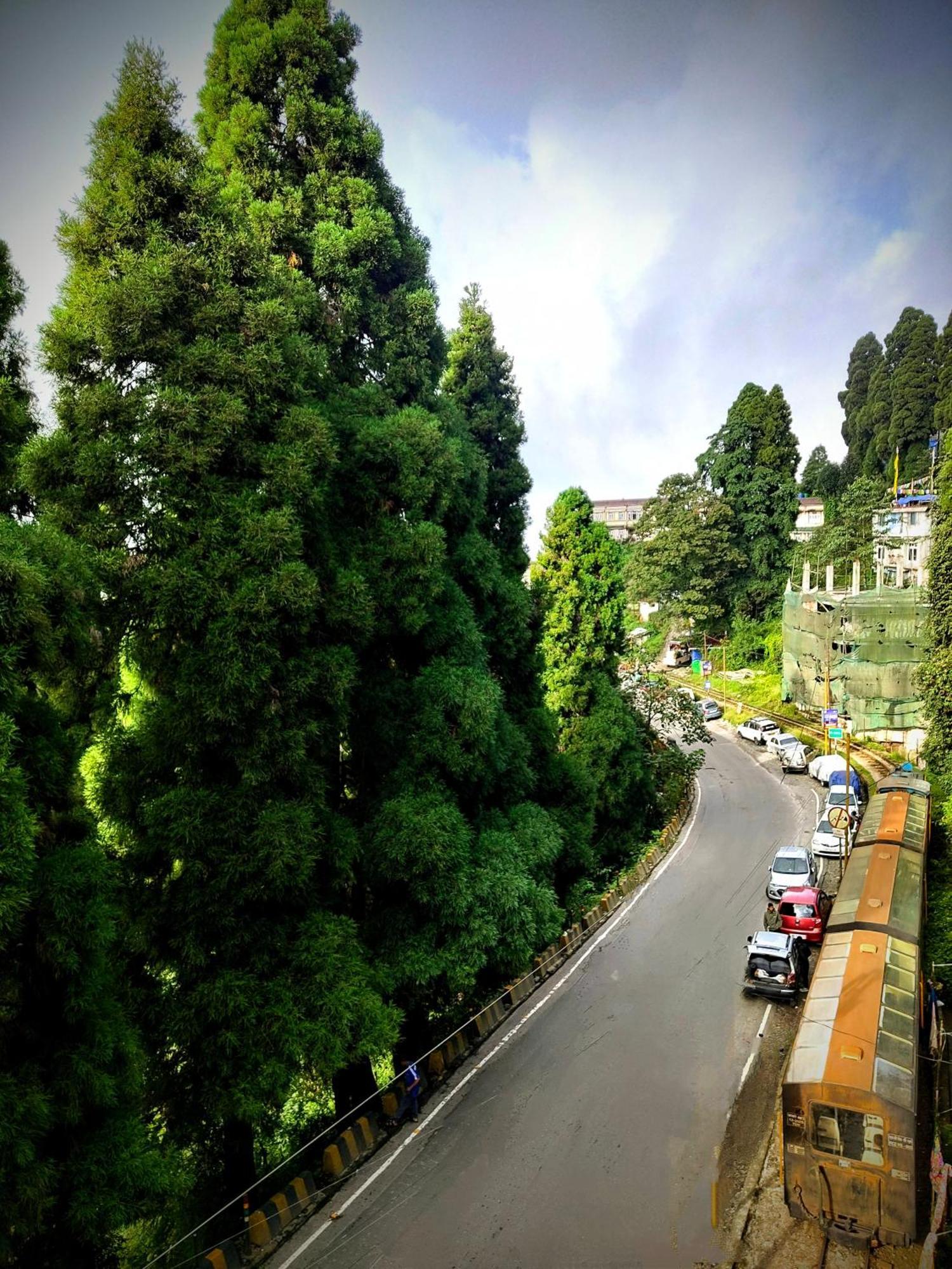 Hidden Monkey Backpackers Darjeeling, Batasia Hostel *