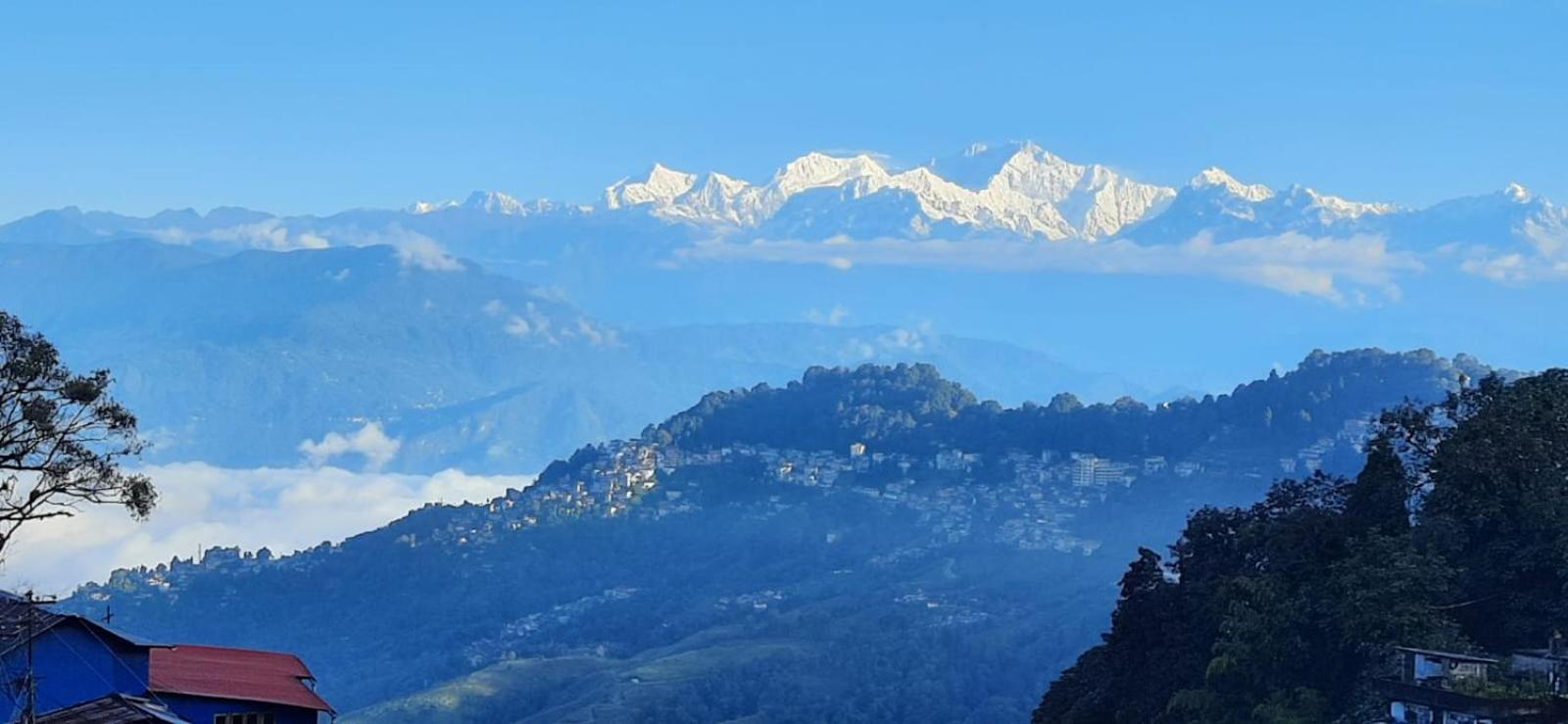 Homestay Veronica Alpina Mountain View