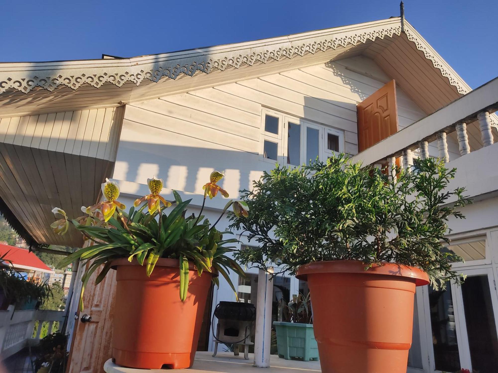 Apartment Tashiling