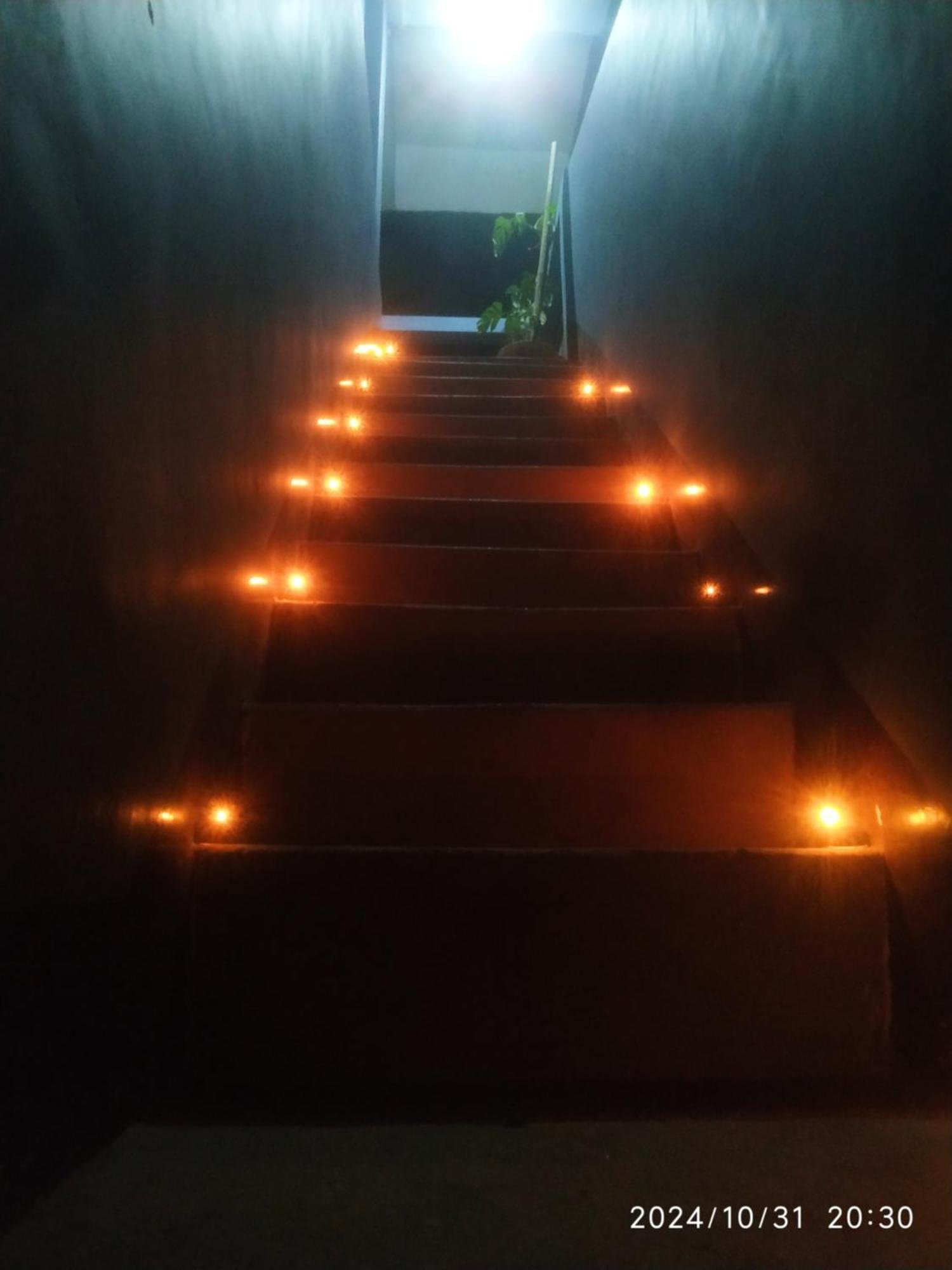 Homestay Dawn