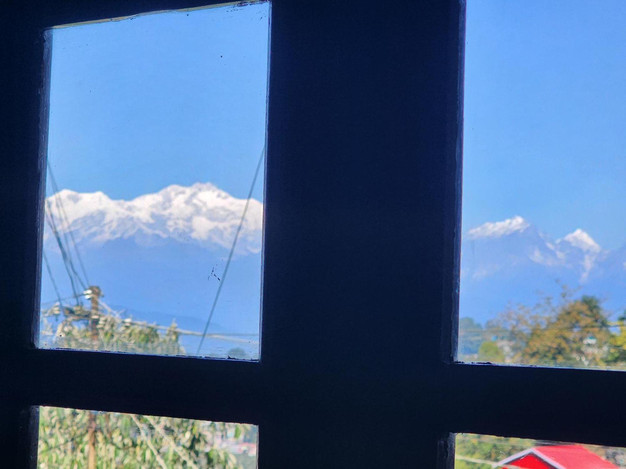 Veronica Alpina Mountain View