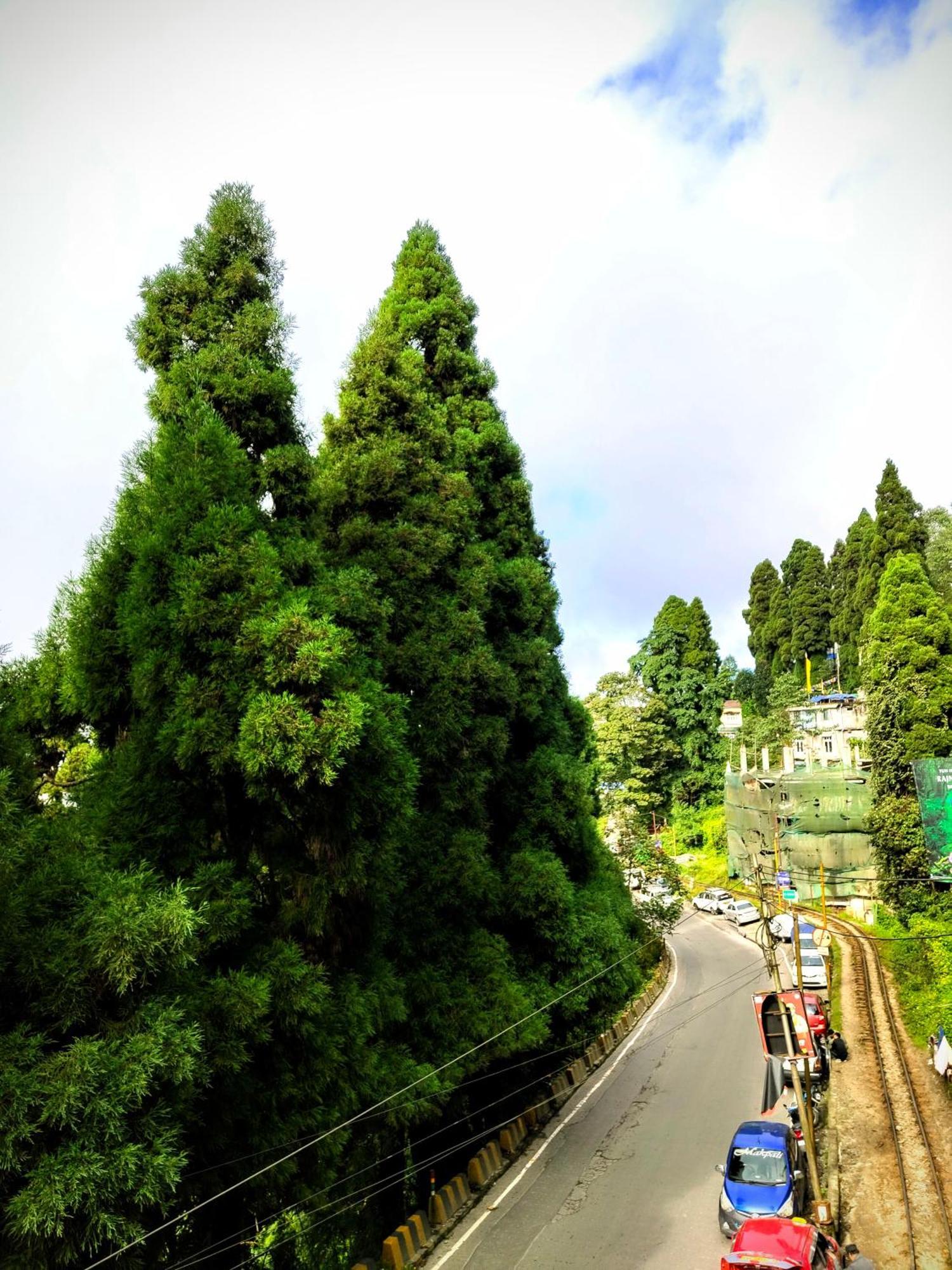 Hidden Monkey Backpackers Darjeeling, Batasia Hostel