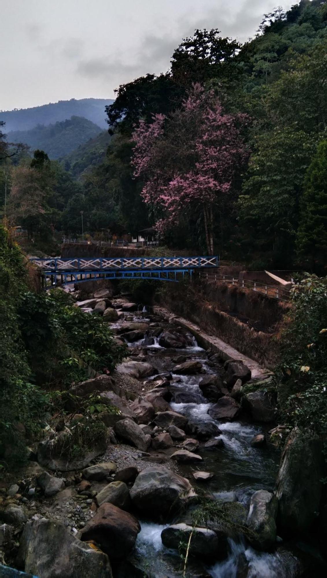 Homestay Padma