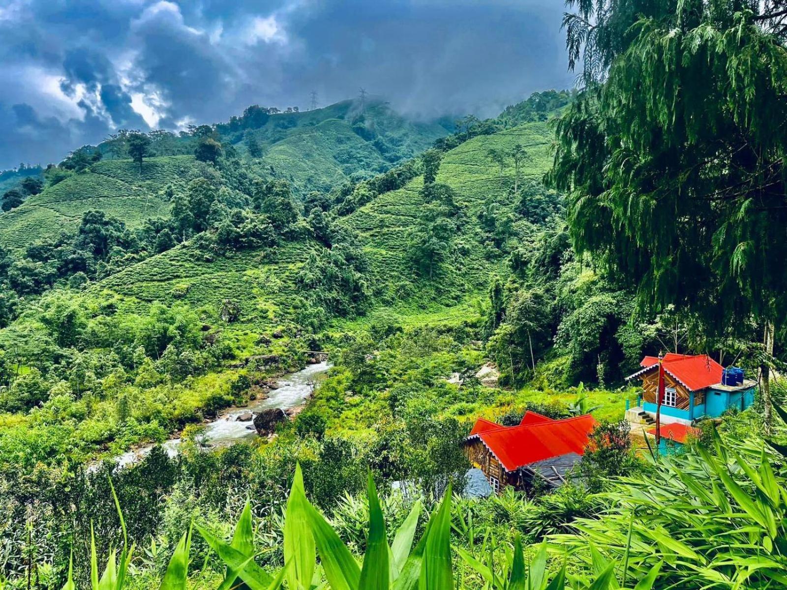 Dangia Delight Darjeeling (West Bengal)