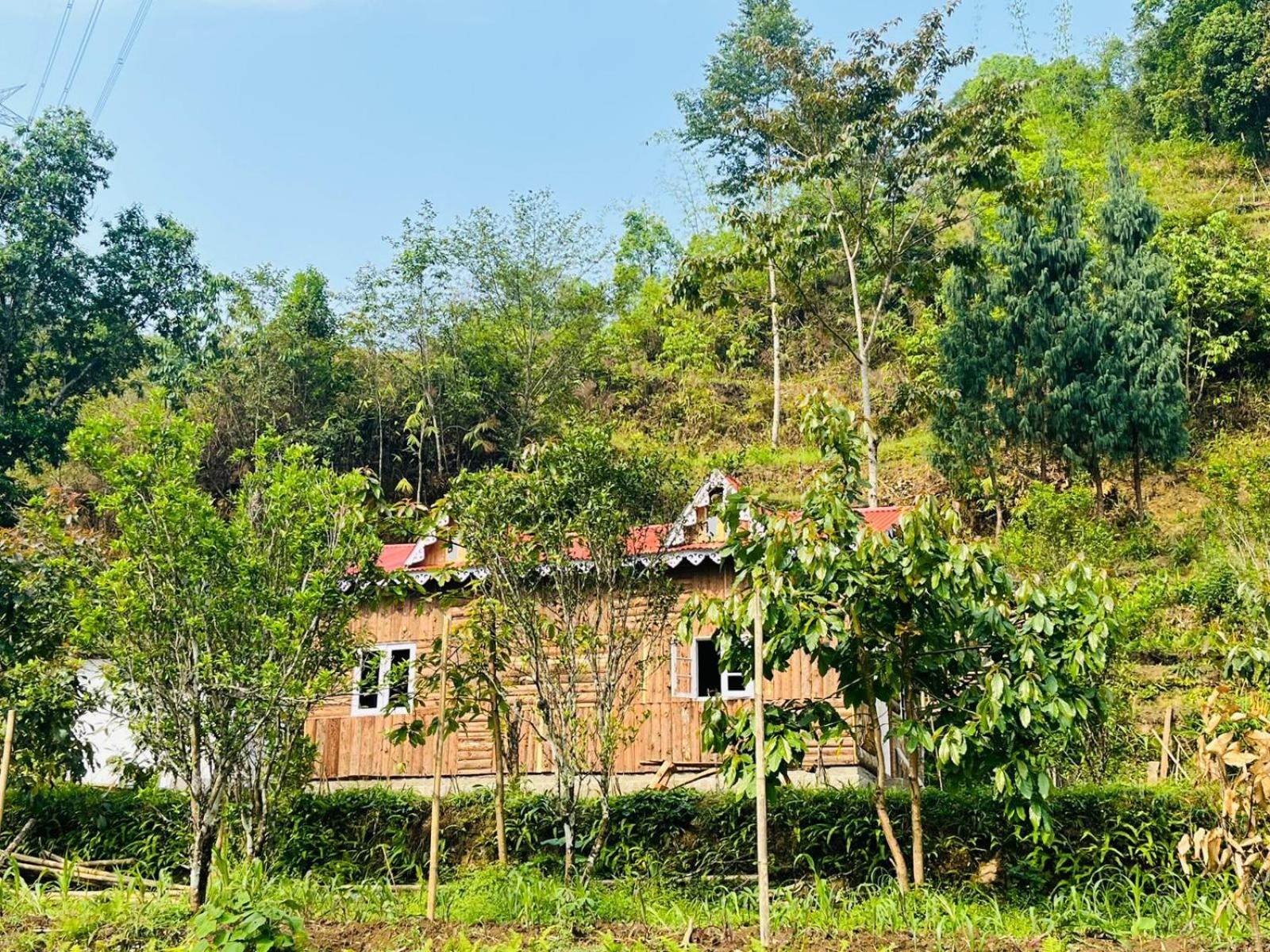Country house Dangia Delight