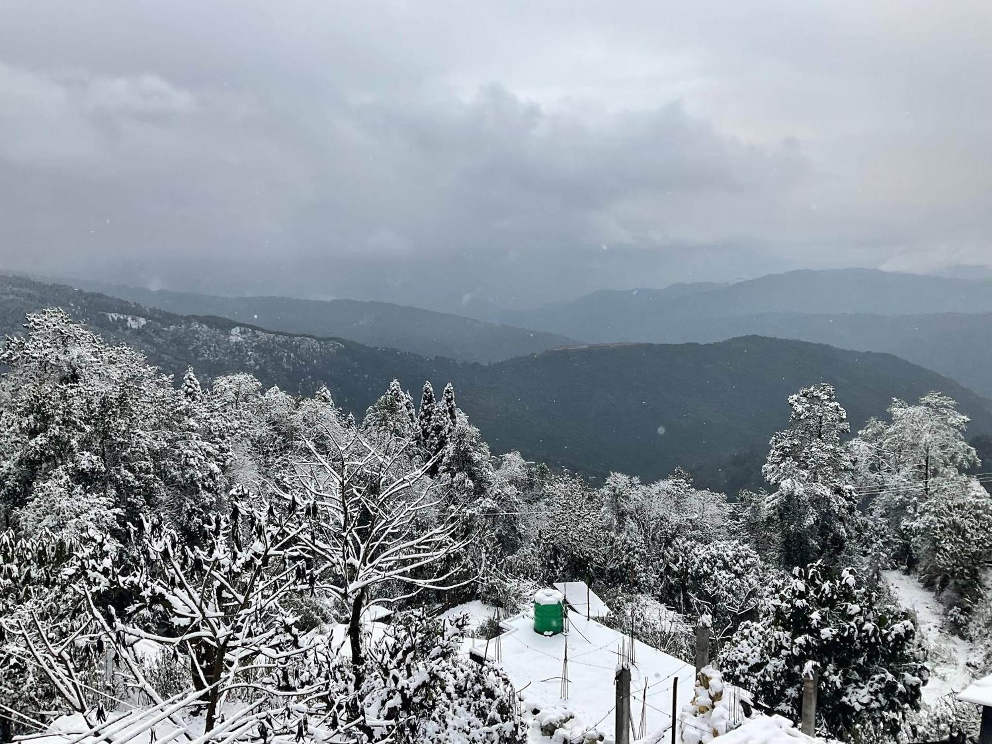 Homestay Mist & Dew Darjeeling (West Bengal)