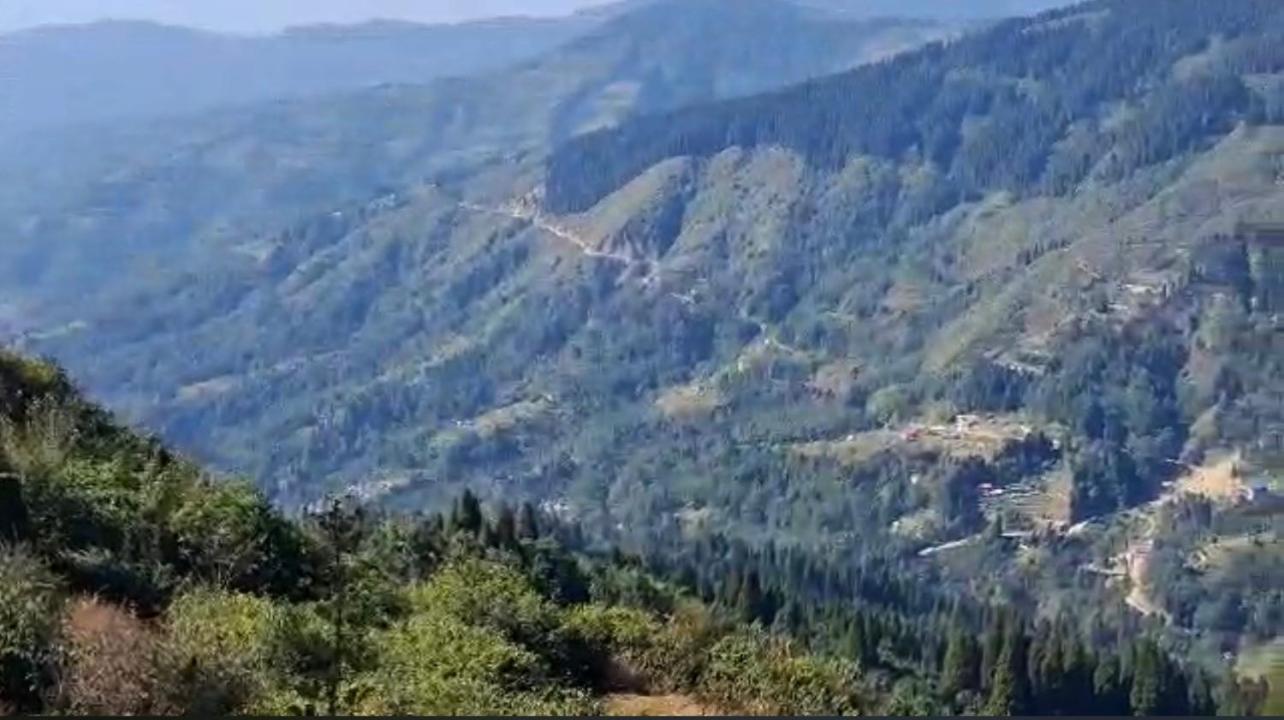 Homestay Mist & Dew Darjeeling (West Bengal)