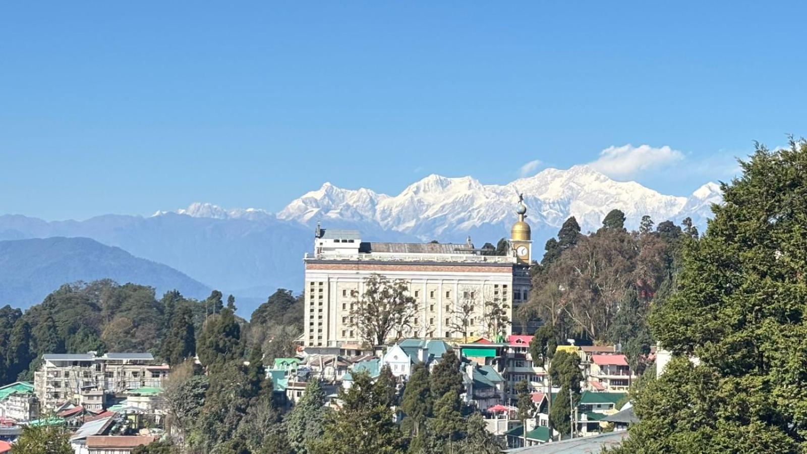 Mellow Fellow Darjeeling *