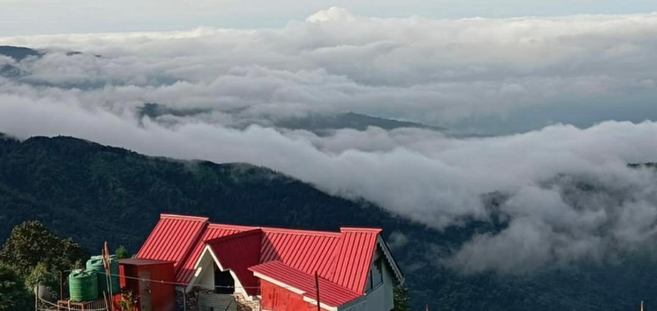 Homestay Mist & Dew