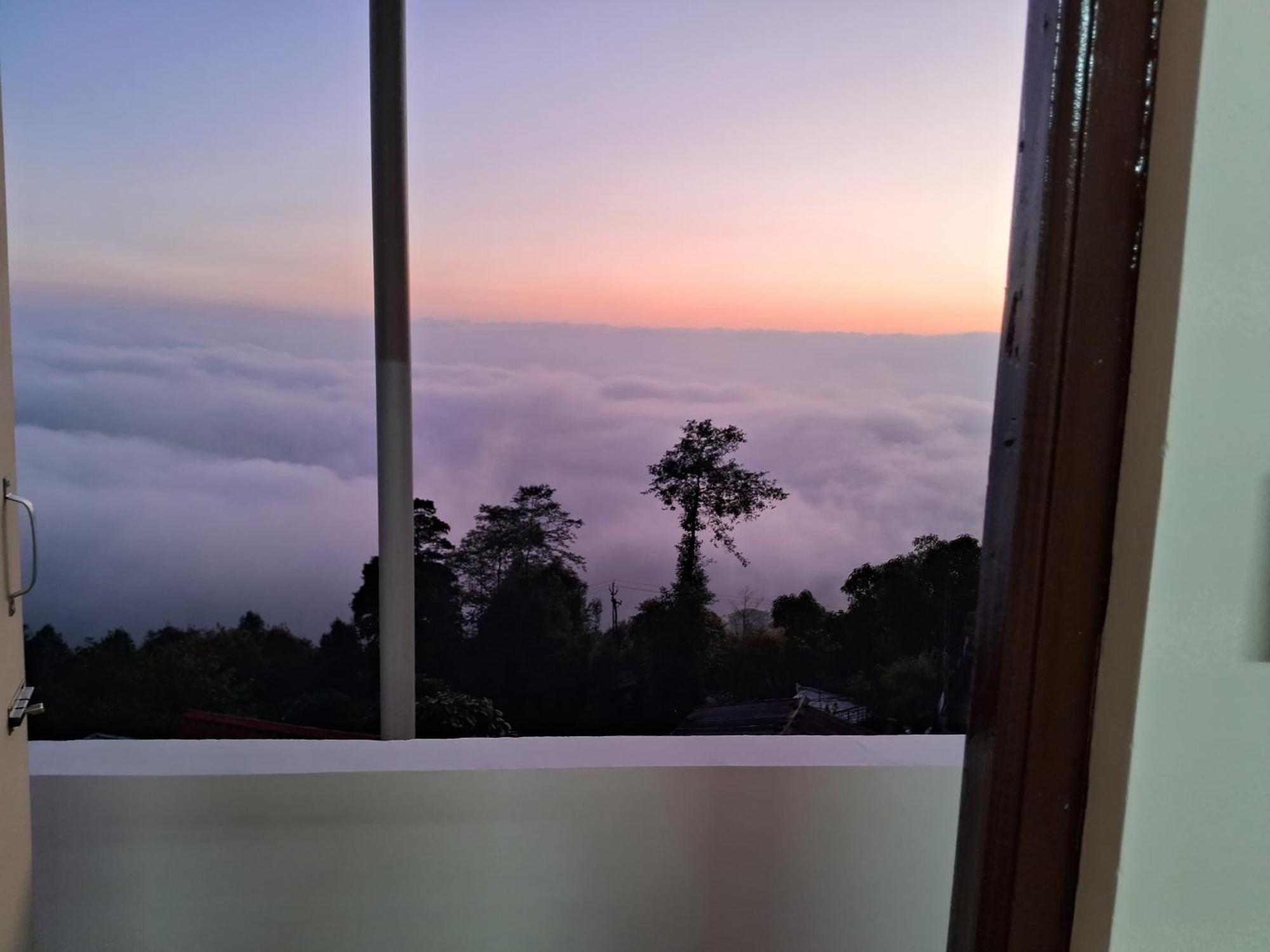 Mist & Dew Darjeeling (West Bengal)