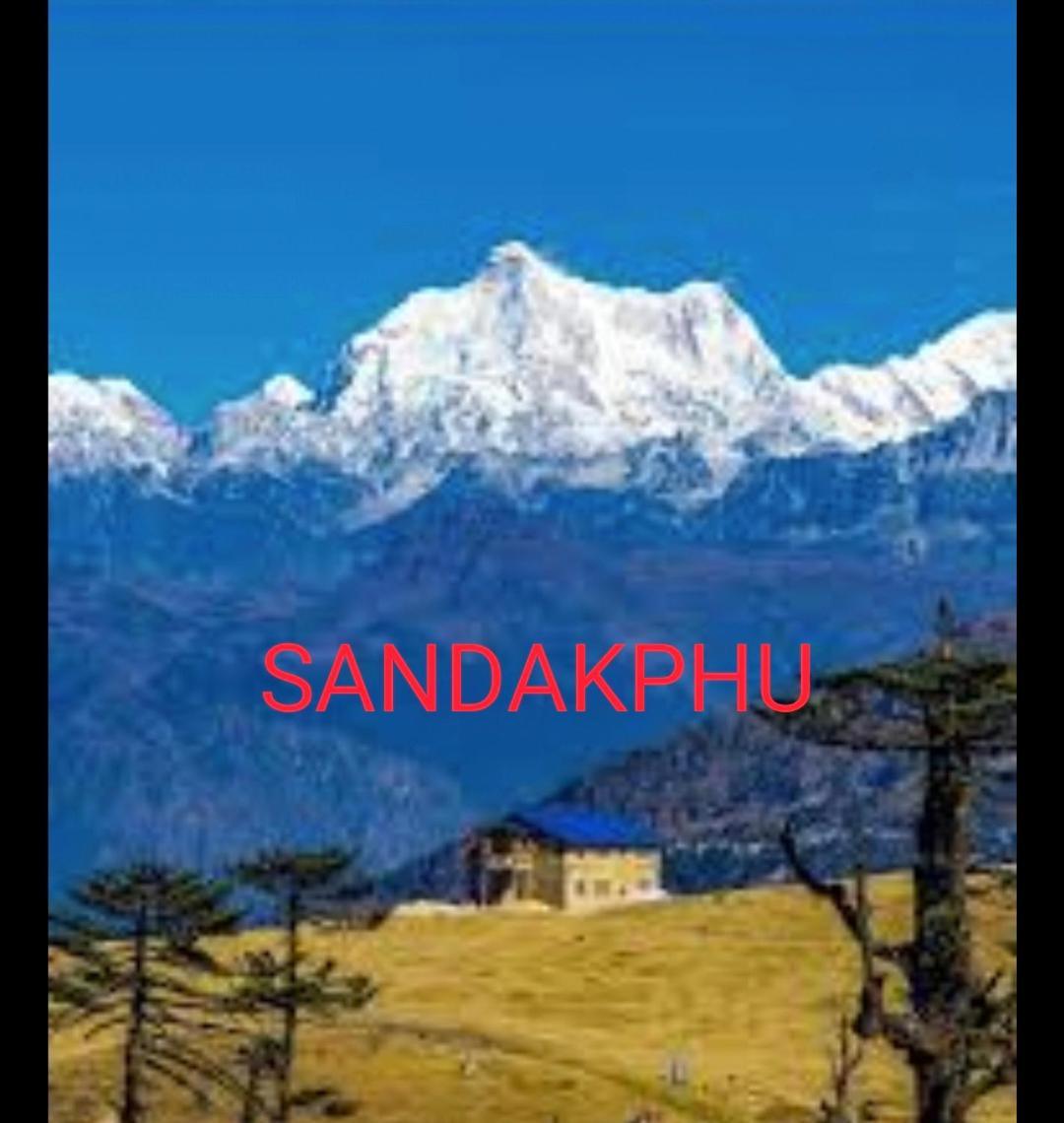 A P.s. Homestay *