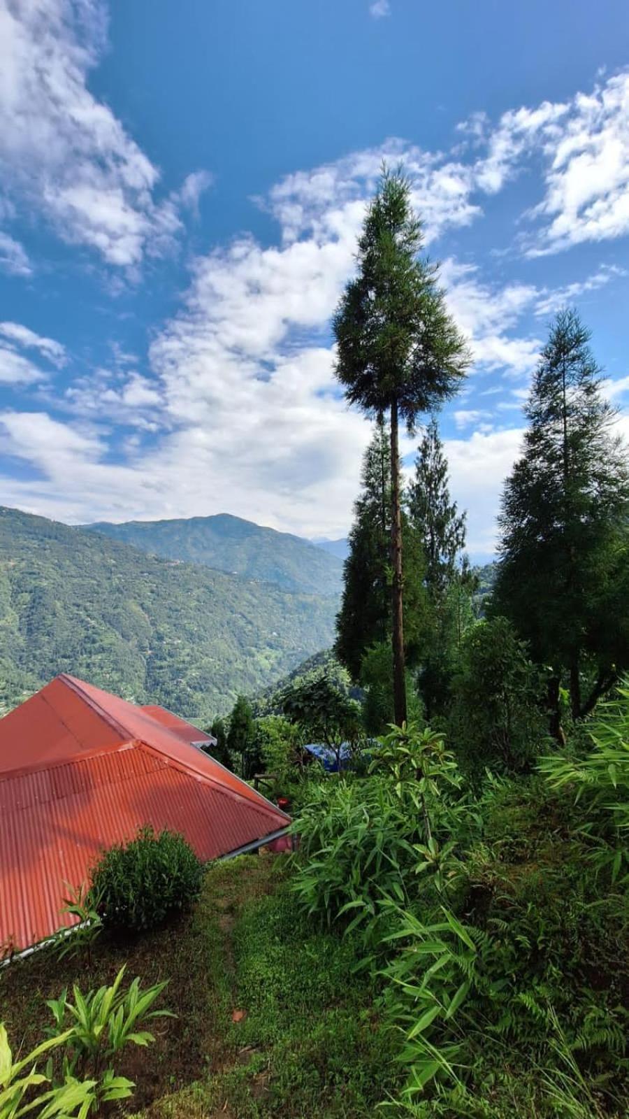 Grace Garden Homestay *