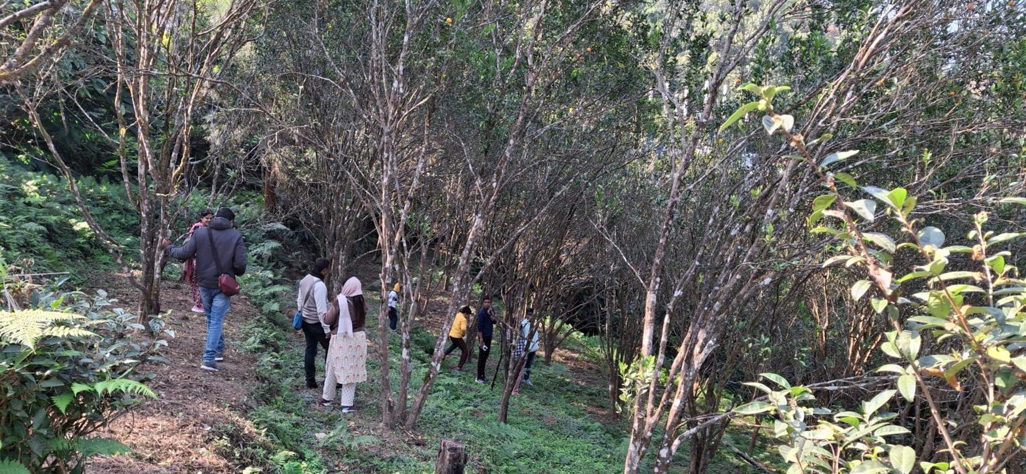 Beth Meon Homestay Darjeeling (West Bengal)