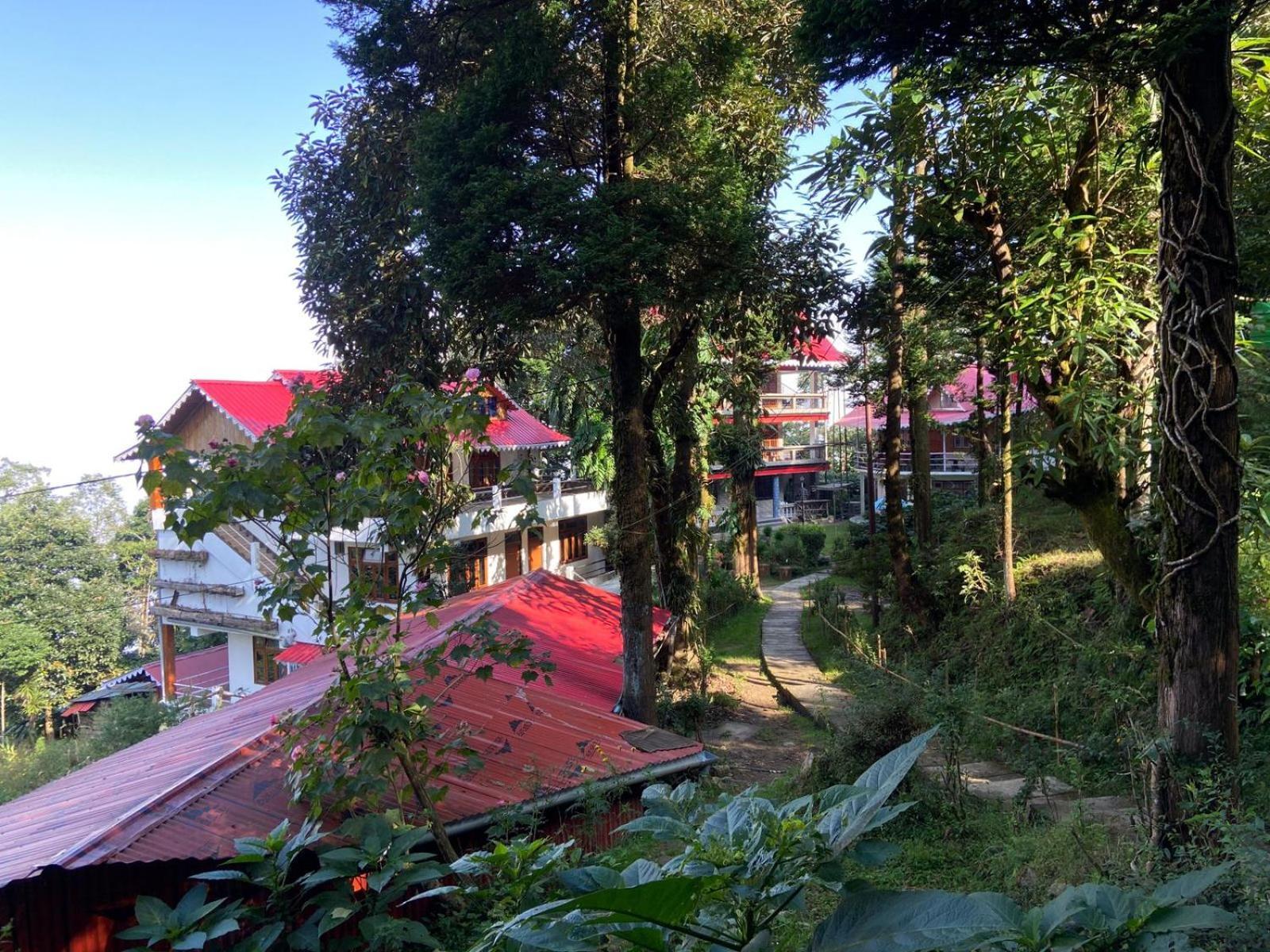 Magnolia And Darjeeling (West Bengal)