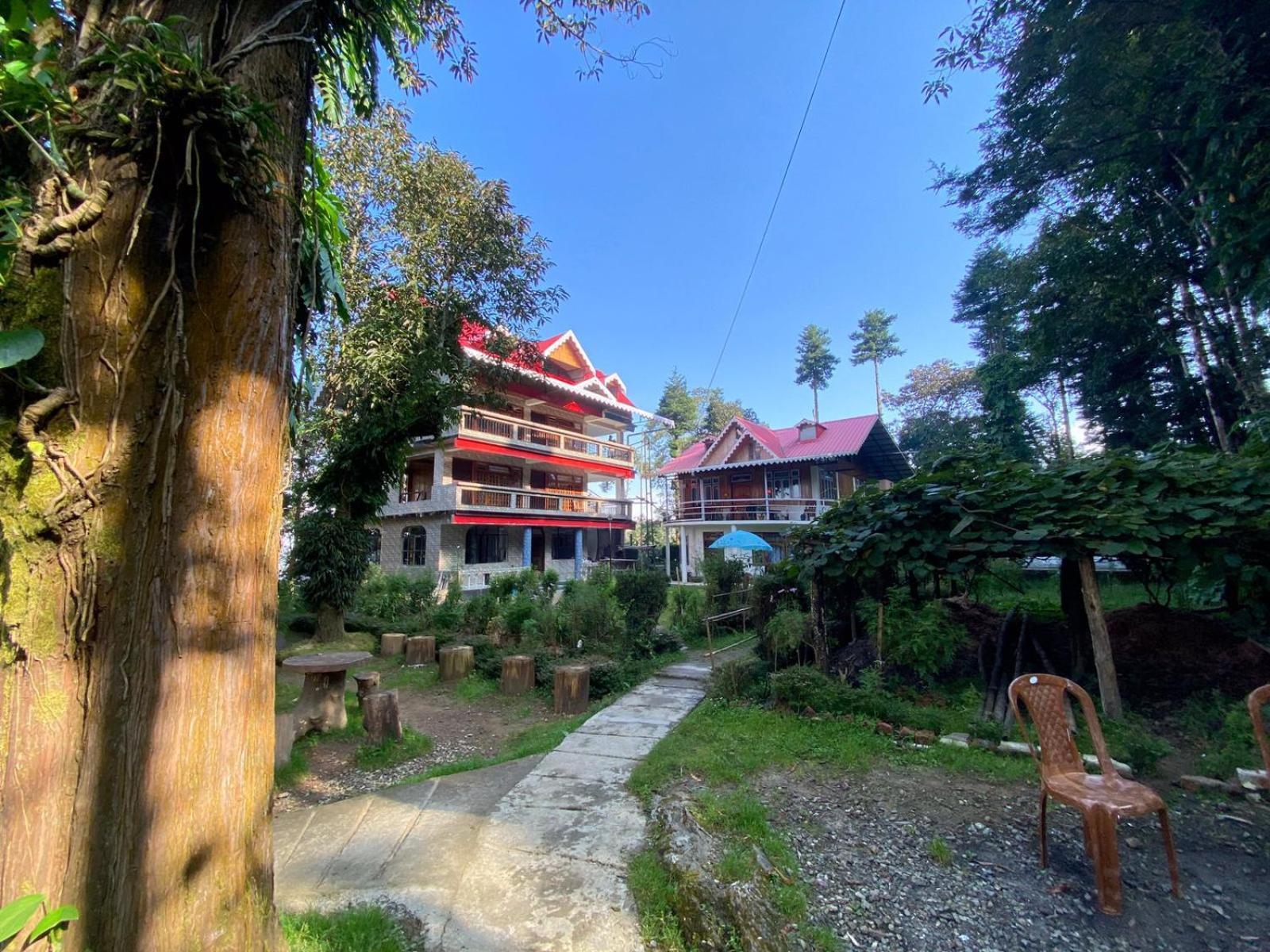 Bed & Breakfast Magnolia And