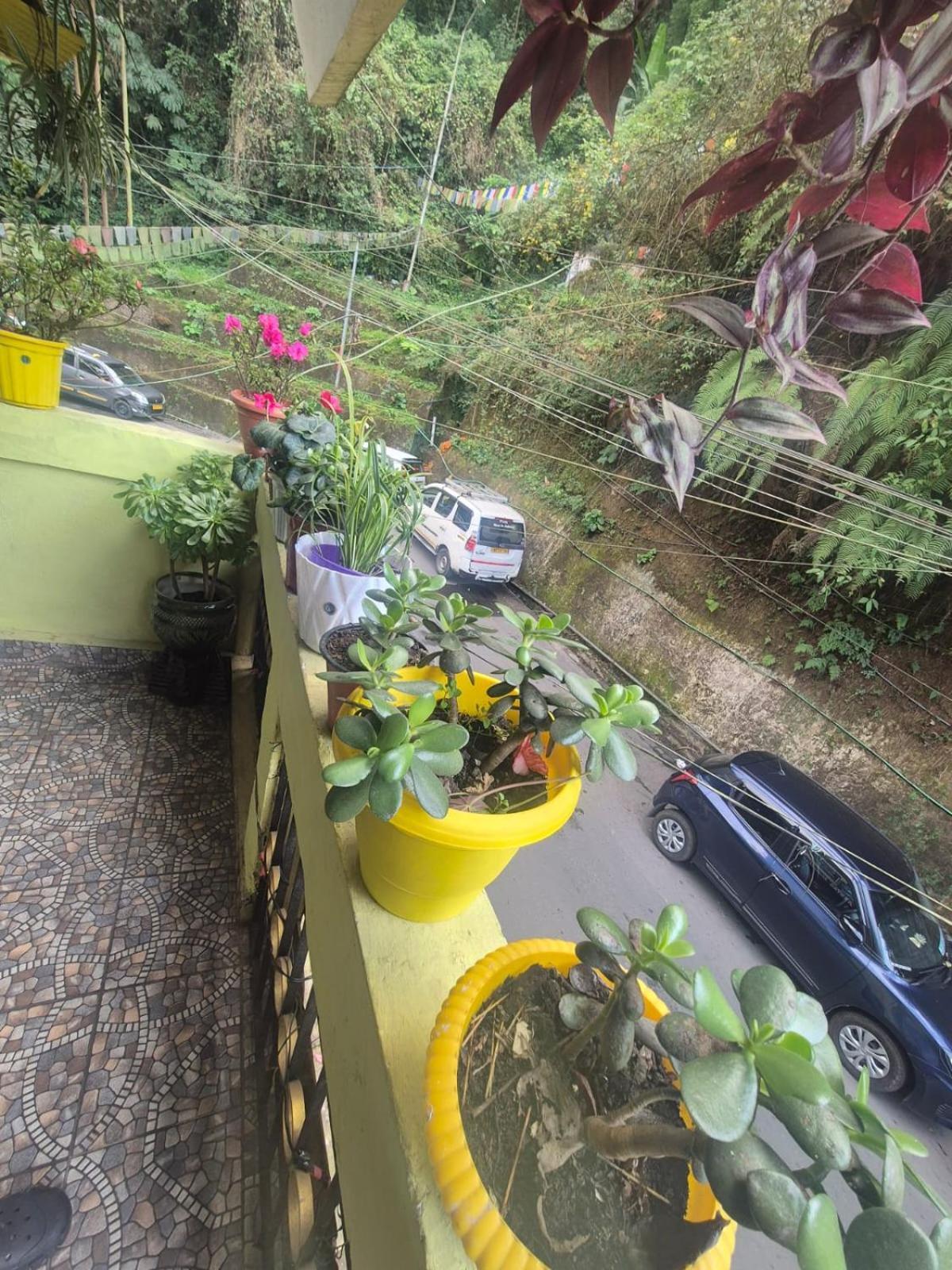 Bina Darjeeling Homestay *