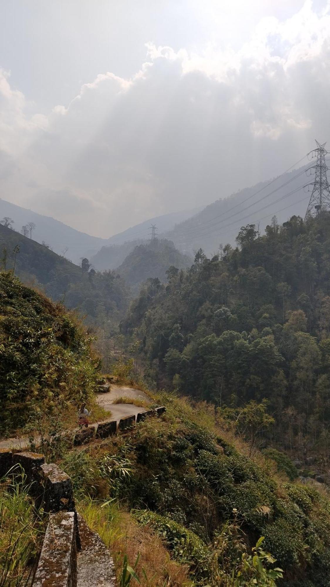 Chhota Haazri, By The Rajbari Bawali * Darjeeling (West Bengal)