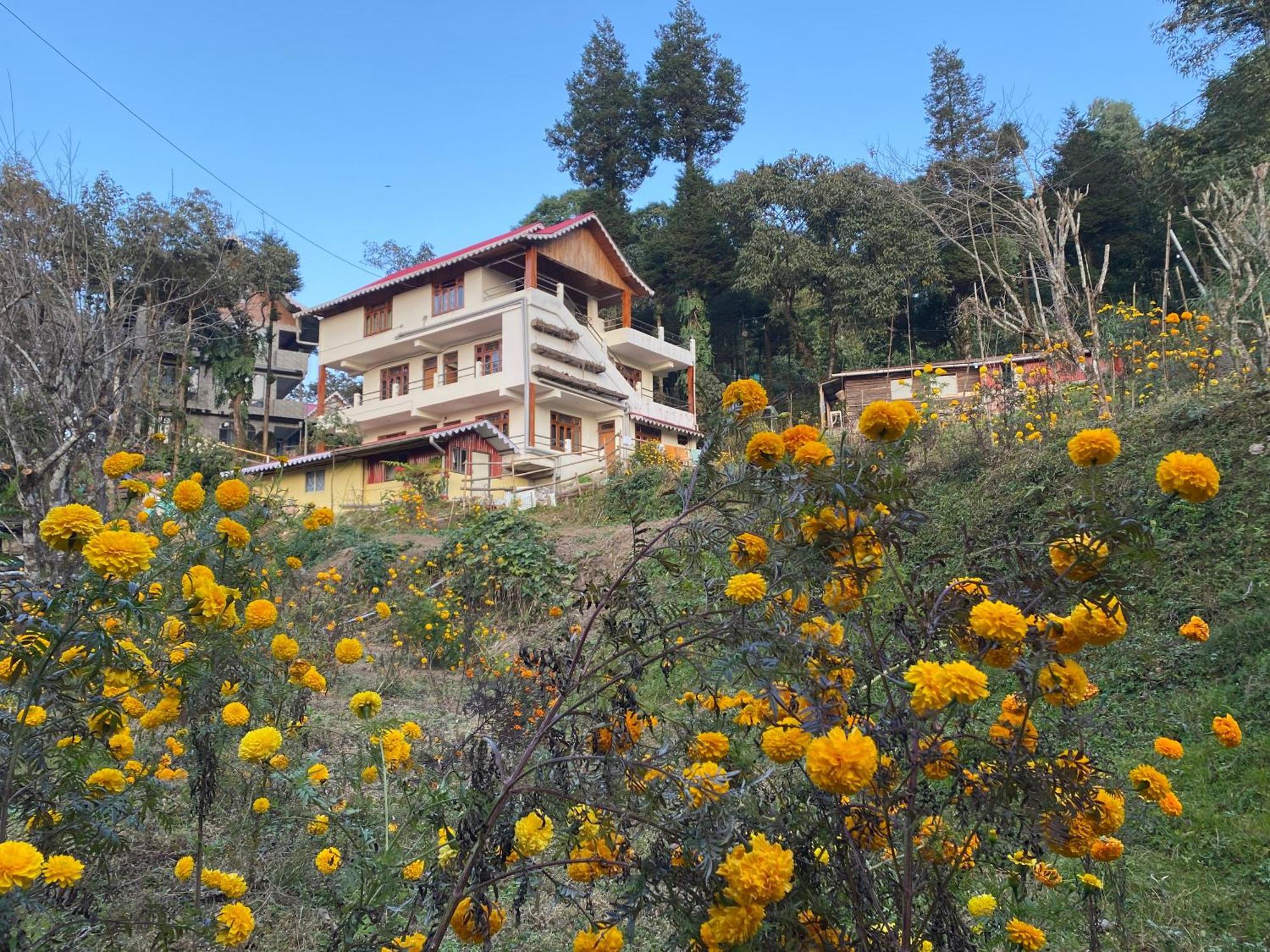 Bloomfield And Eco-resort * Darjeeling (West Bengal)