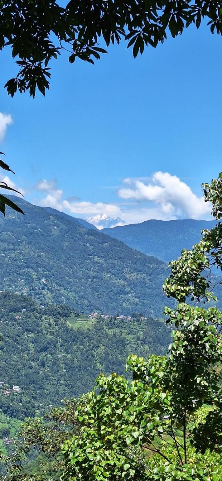 Homestay Grace Garden Darjeeling (West Bengal)