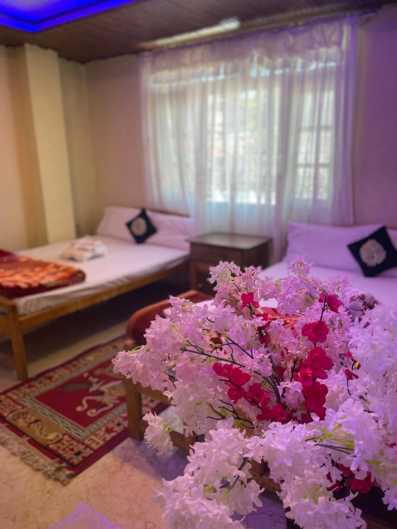 Hotel Z Adarash 4*