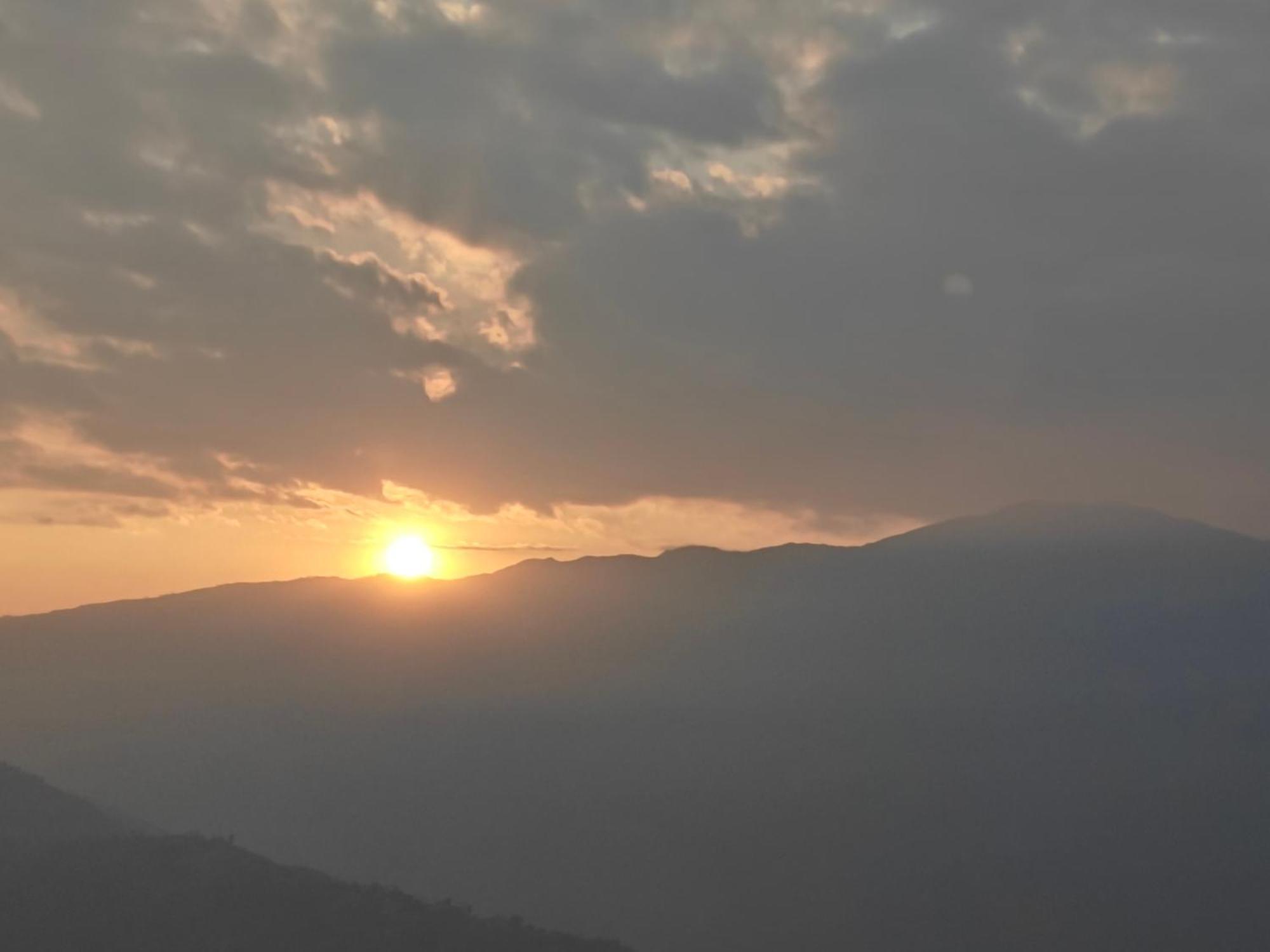 Homestay Dawn *