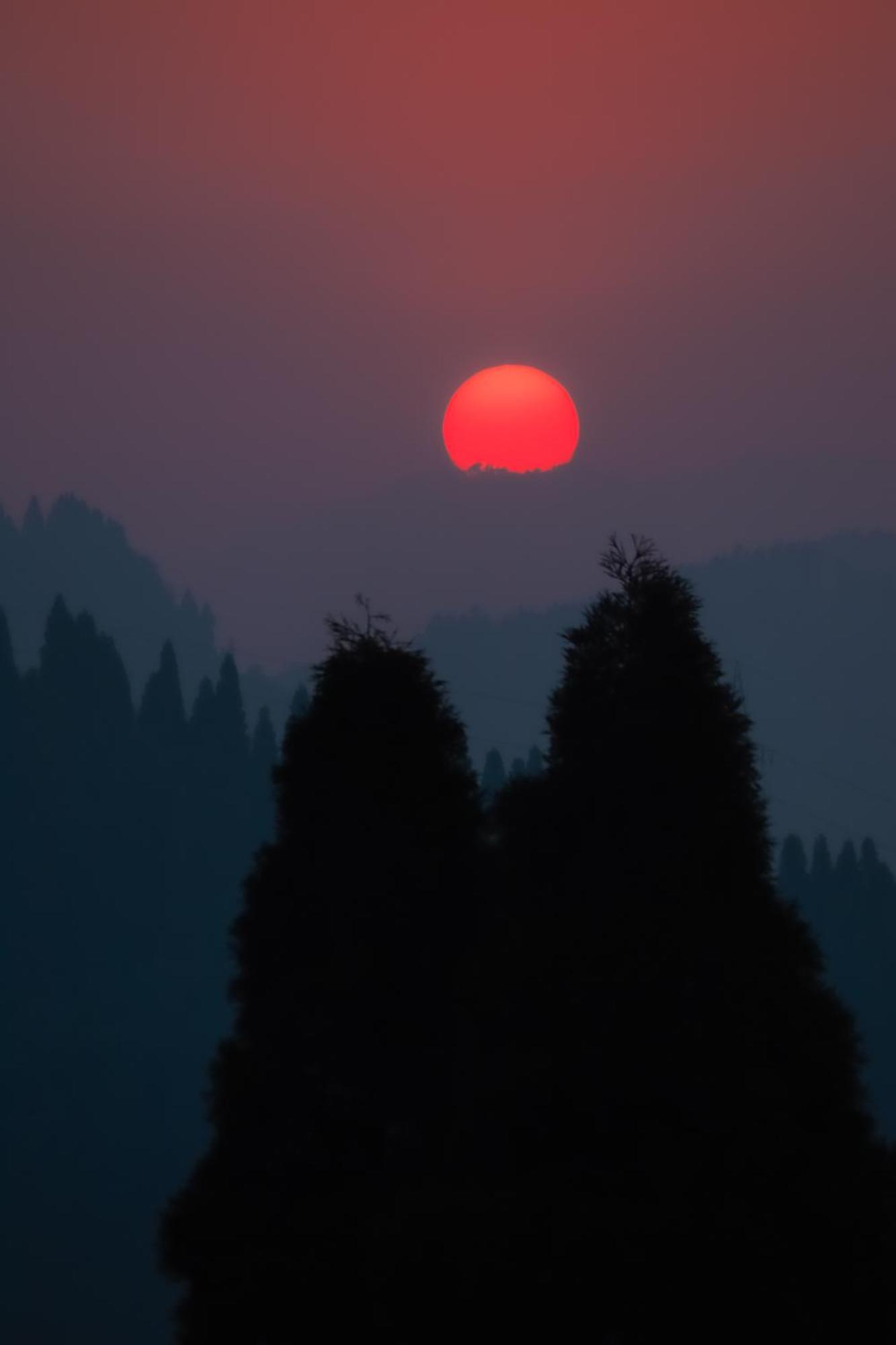 Homestay Graham Hill Darjeeling (West Bengal)
