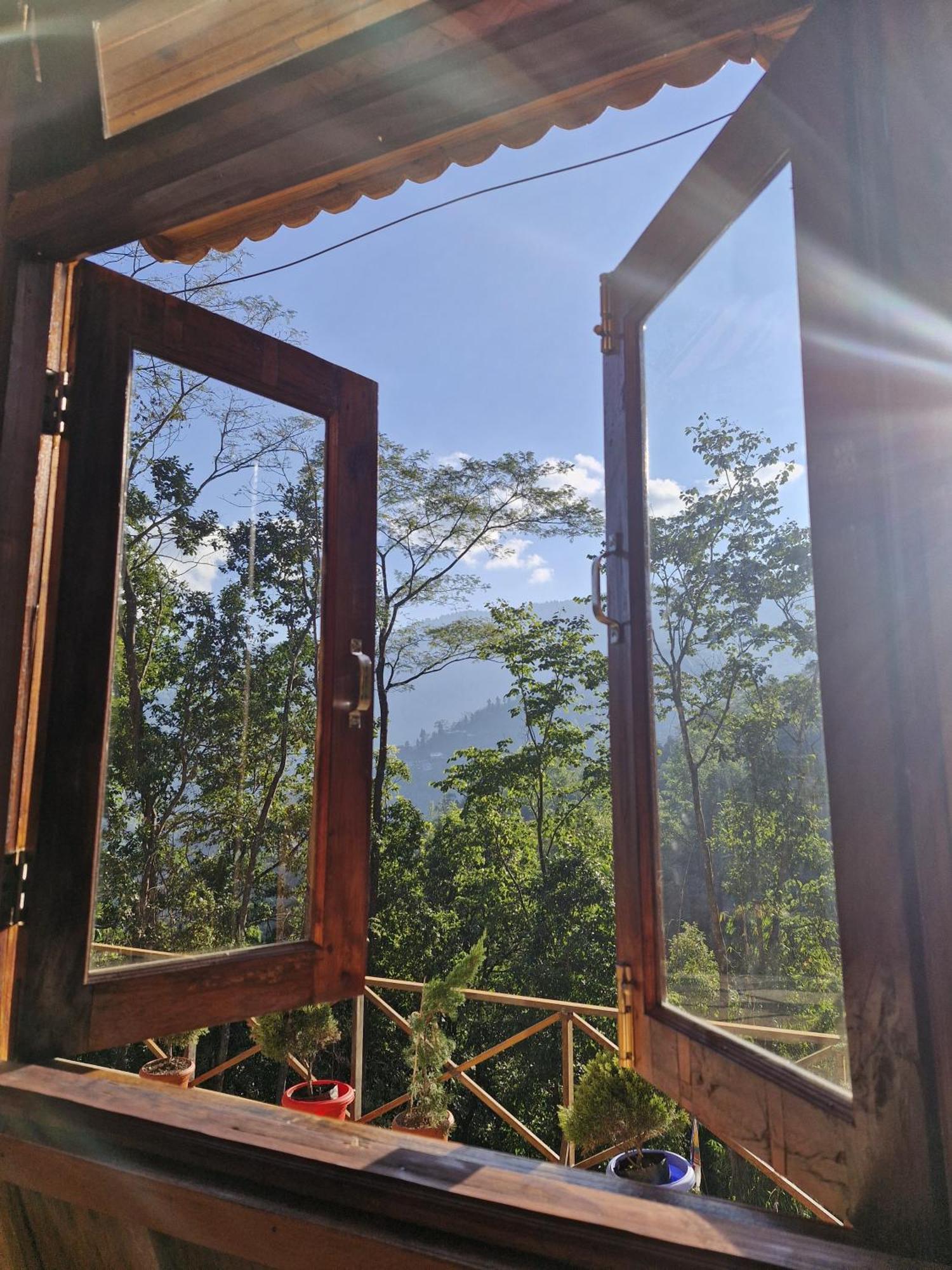 Homestay Padma